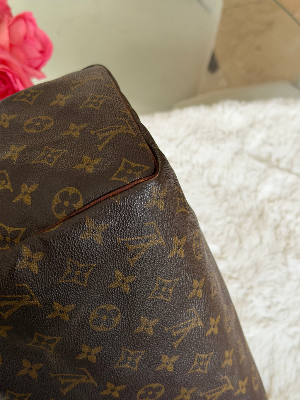 Louis Vuitton Speedy 30 in Monogram Canvas