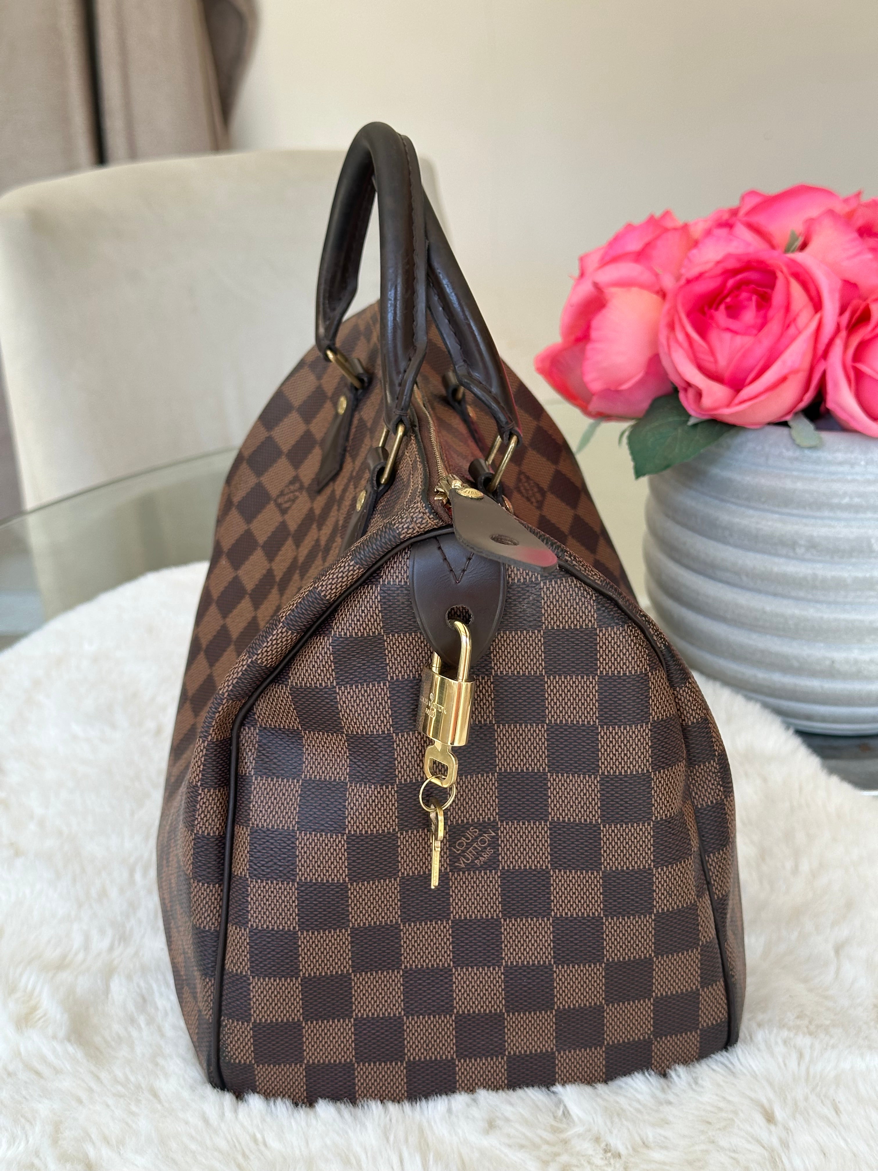 Louis Vuitton Speedy 30 in Damier Ebene