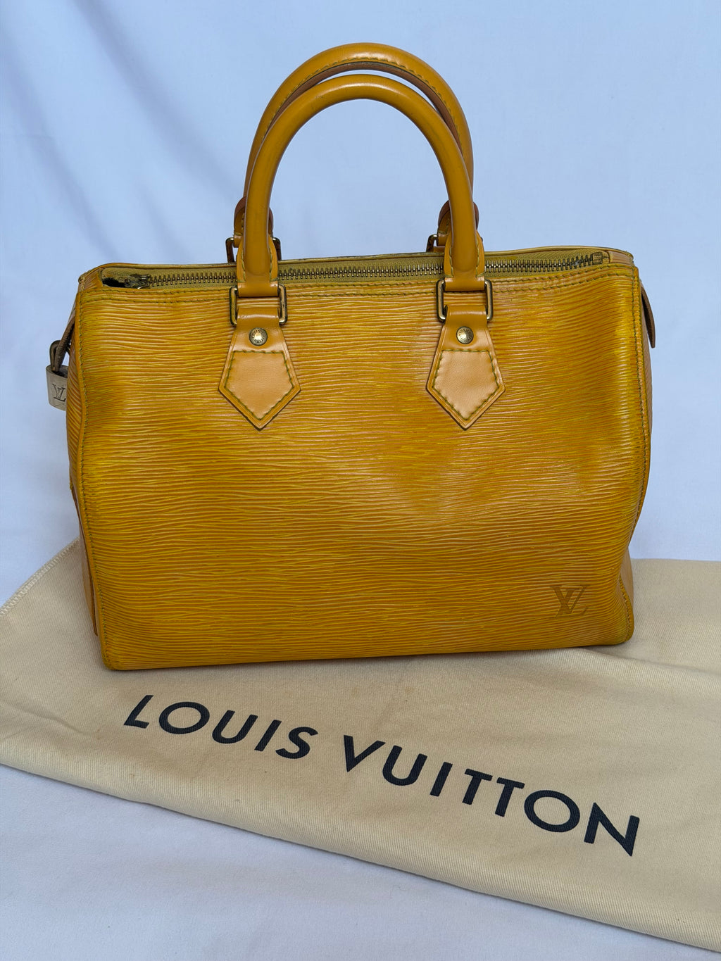 Louis Vuitton Speedy in Yellow Epi Leather