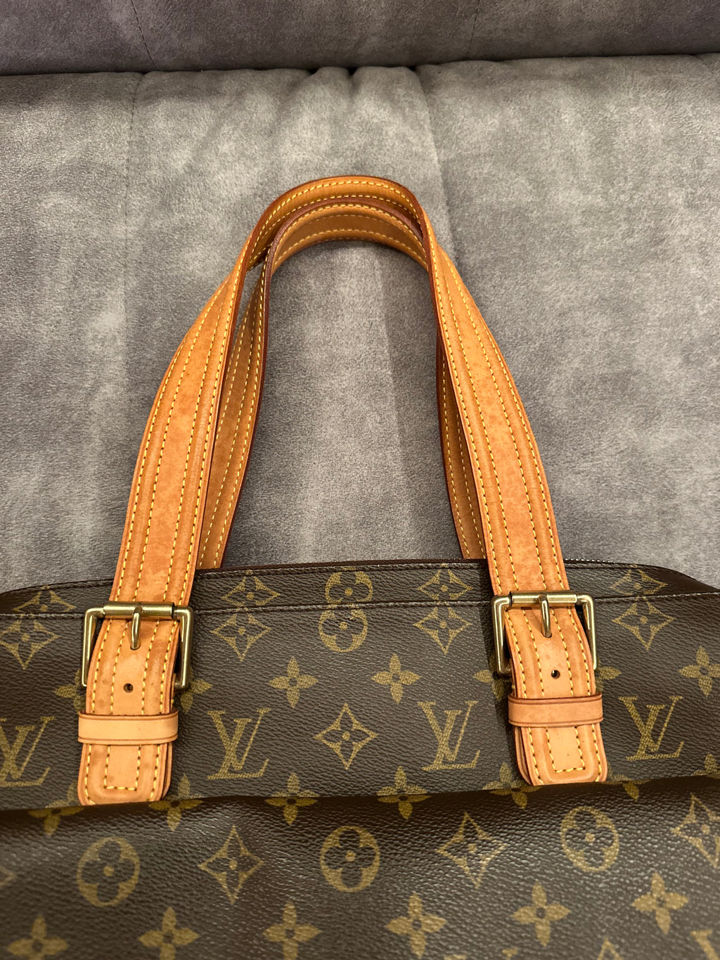 Louis Vuitton Multipli Cite Monogram Canvas