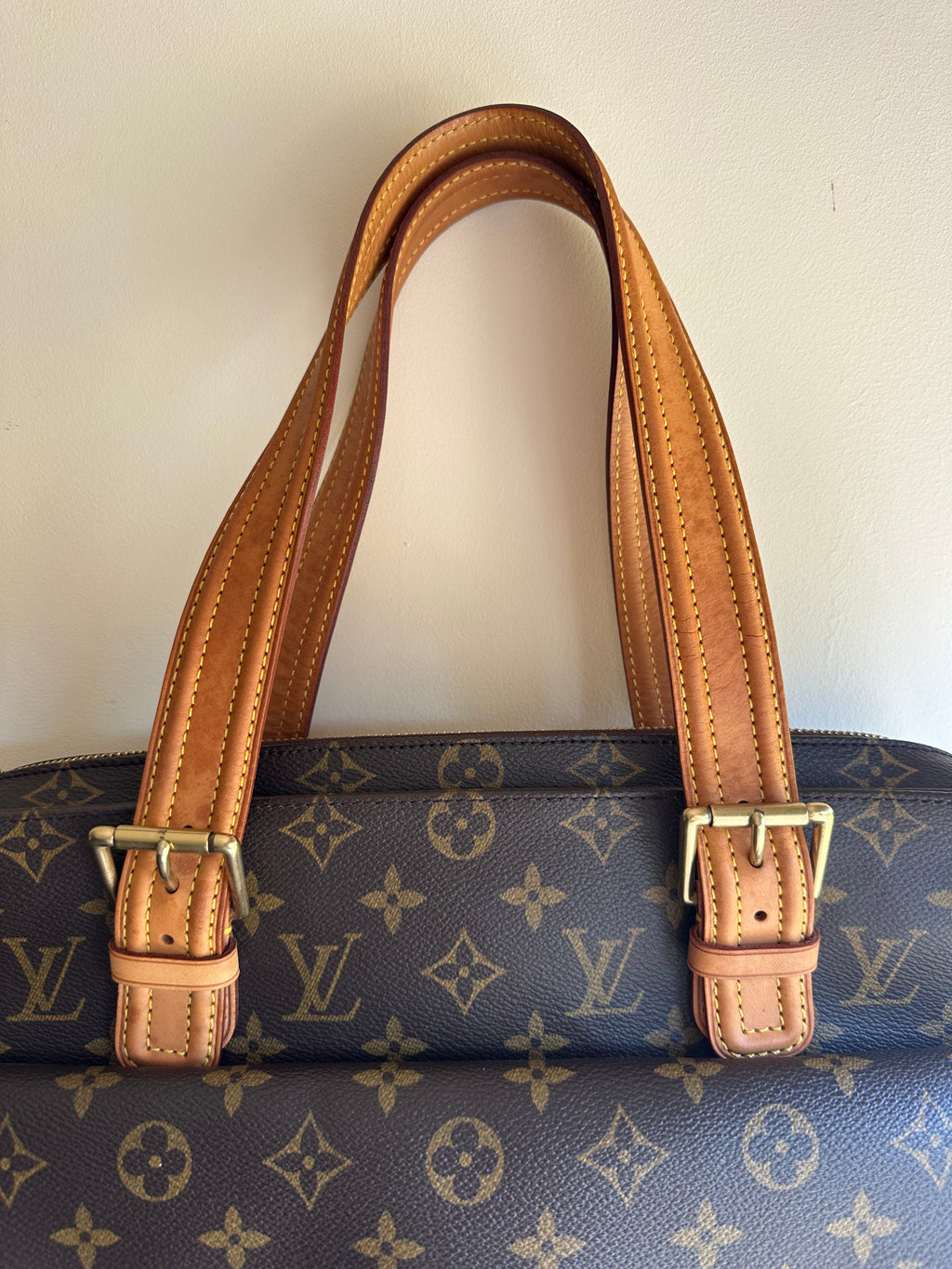 Louis Vuitton Multipli Cite Monogram Canvas