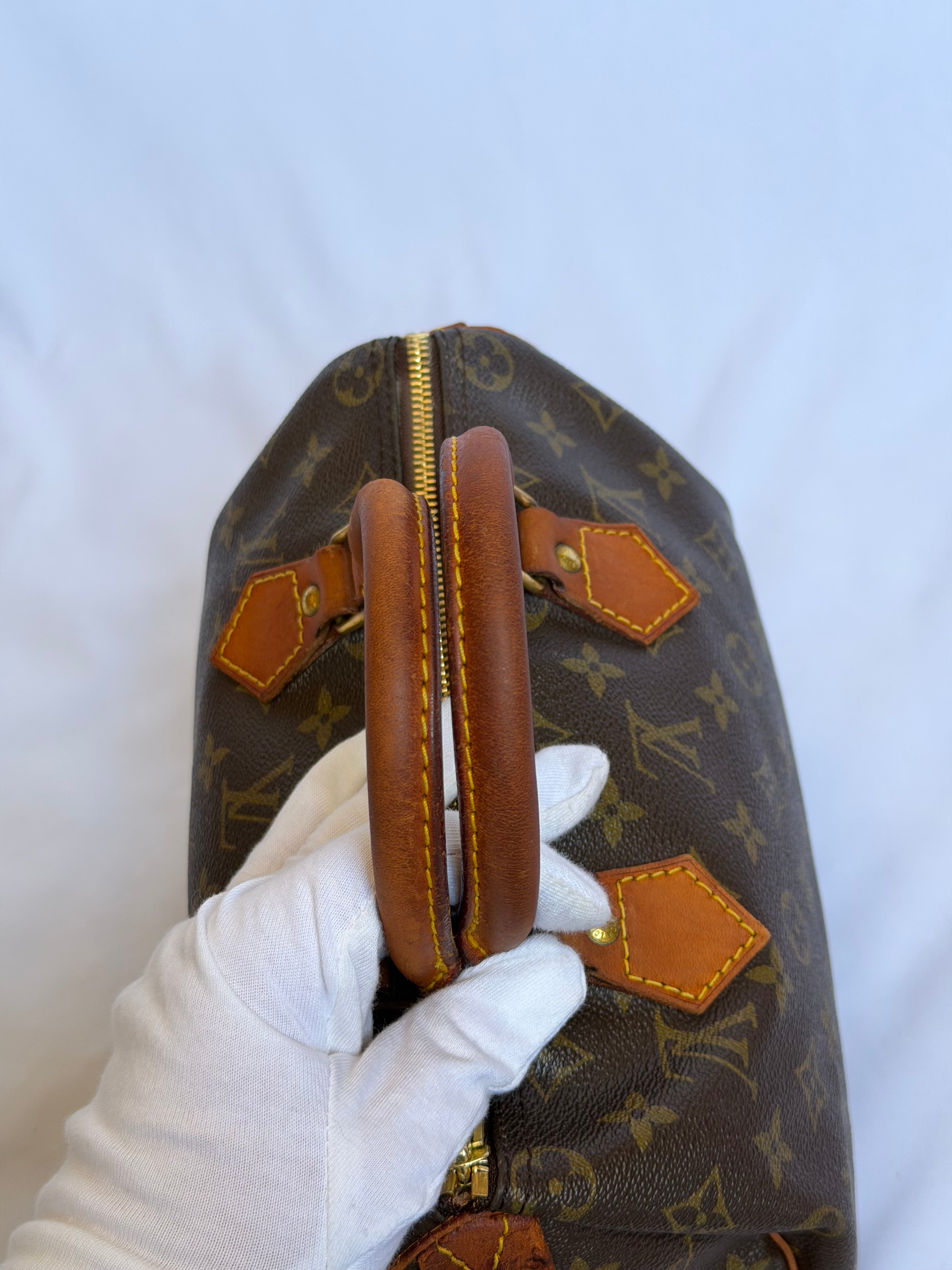 Louis Vuitton Speedy 25 in Monogram Canvas
