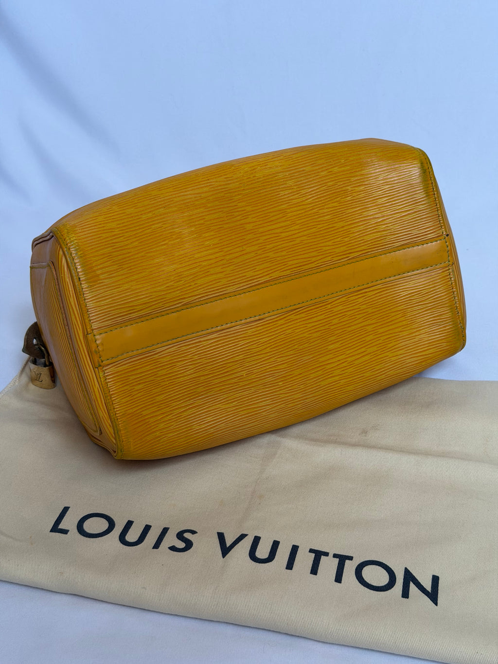 Louis Vuitton Speedy in Yellow Epi Leather