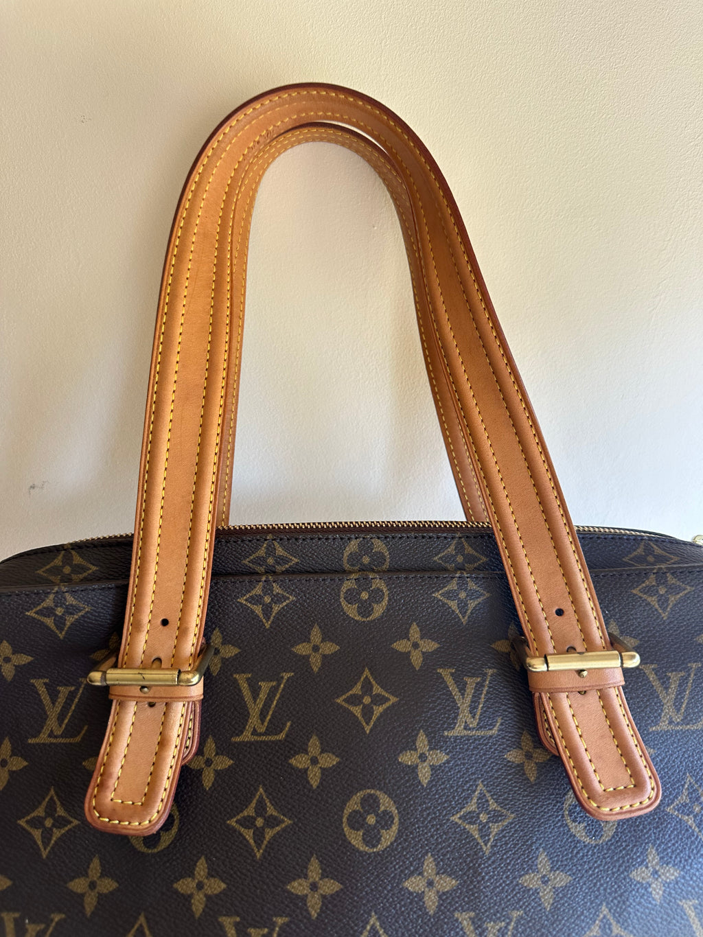 Louis Vuitton Multipli Cite Monogram Canvas