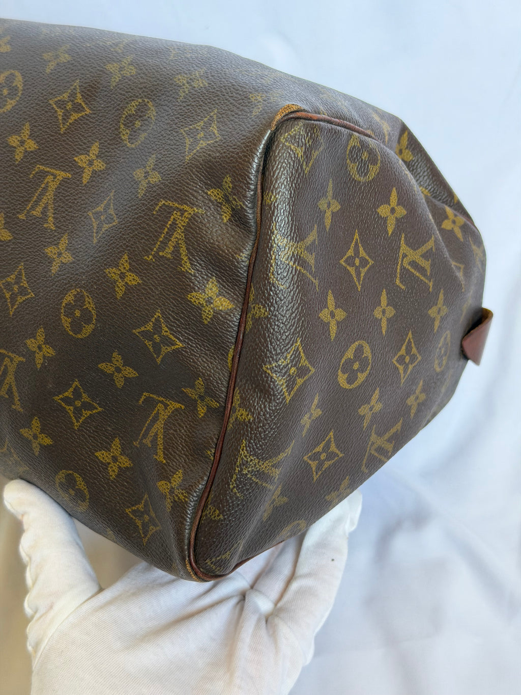 Louis Vuitton Speedy 30 in Monogram Canvas