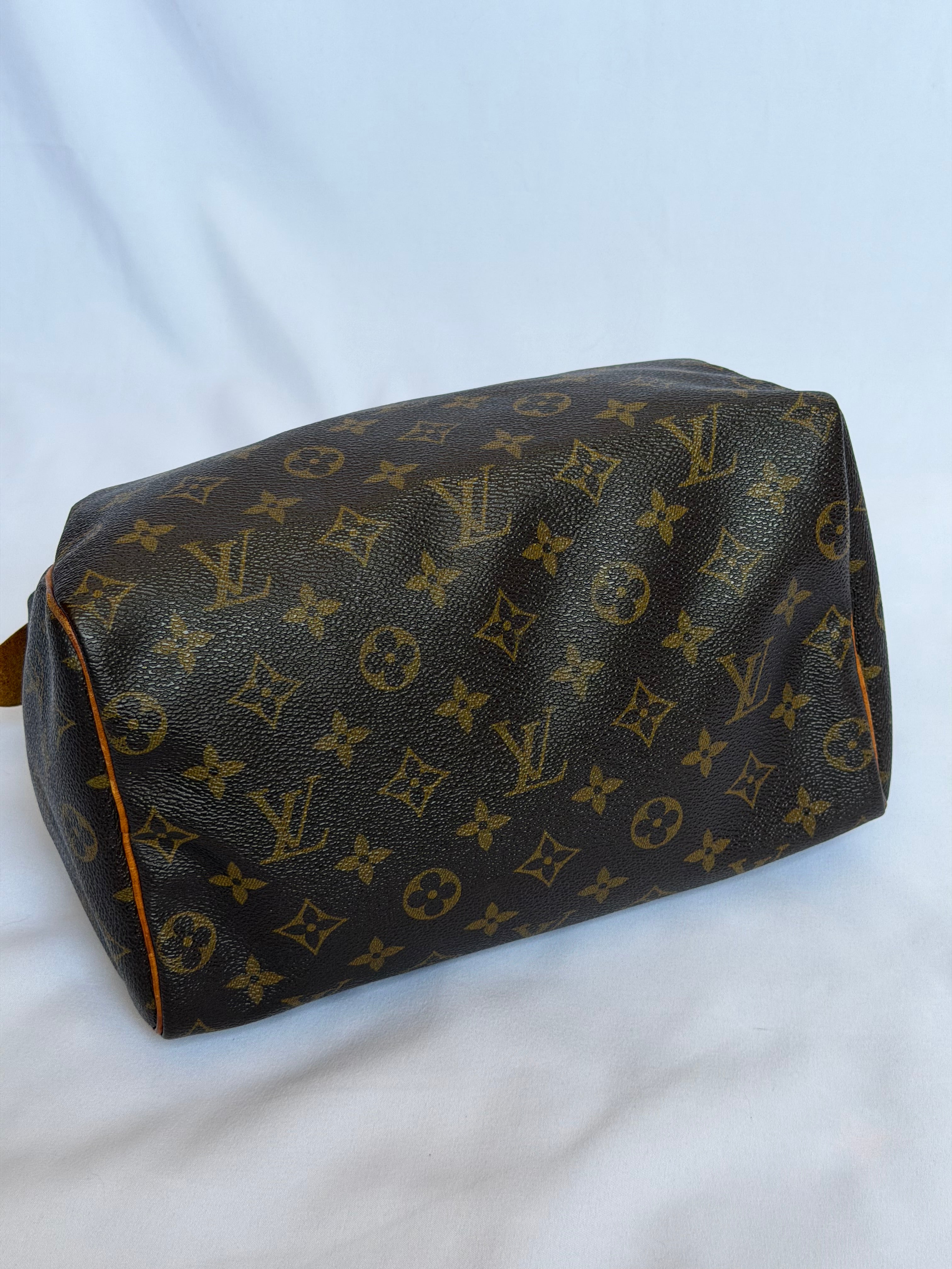 Louis Vuitton Speedy 25 in Monogram Canvas