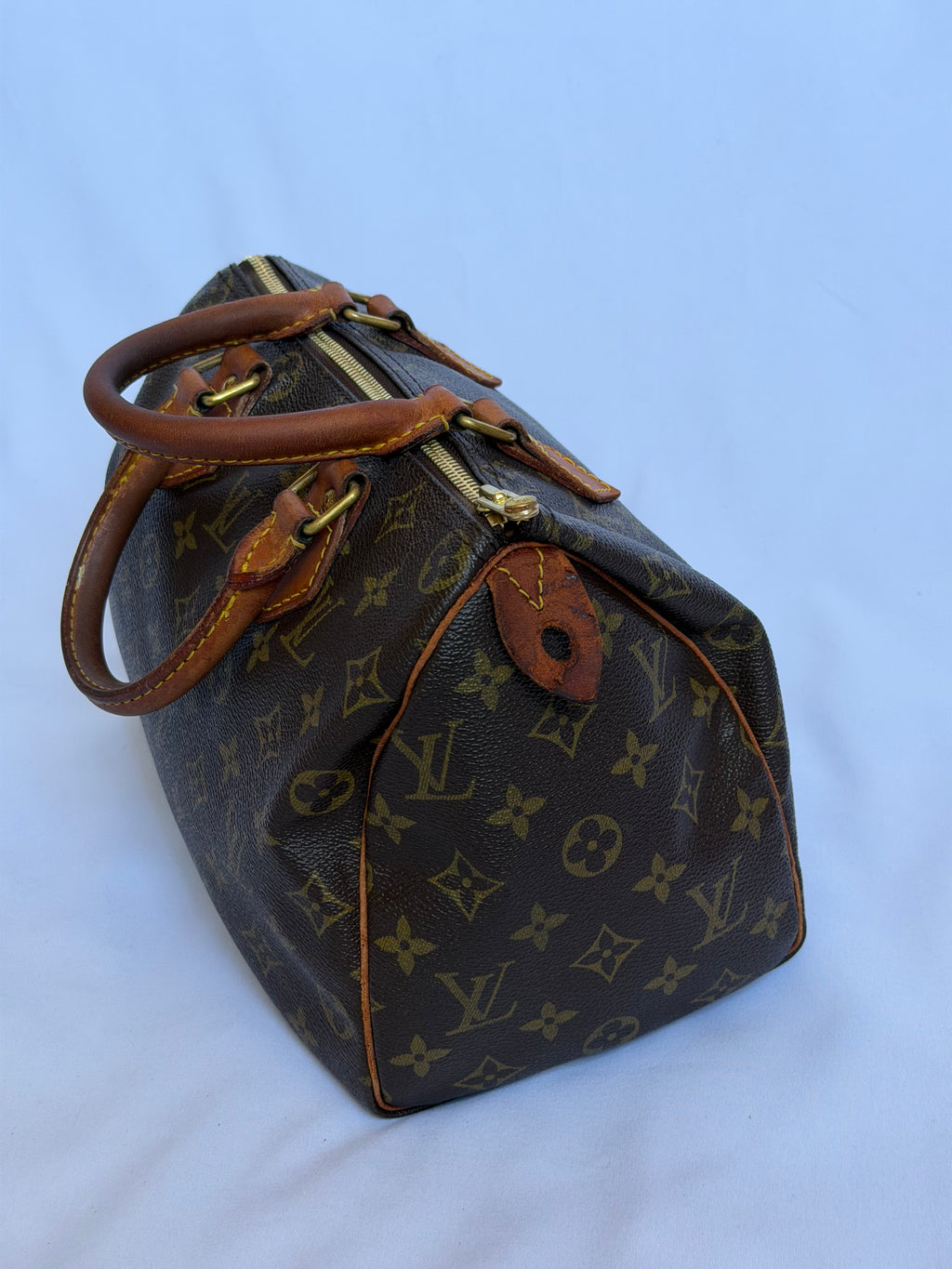 Louis Vuitton Speedy 25 in Monogram Canvas