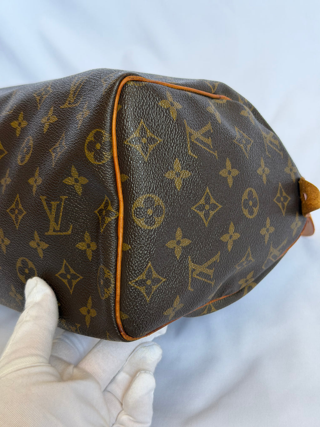 Louis Vuitton Speedy 25 in Monogram Canvas