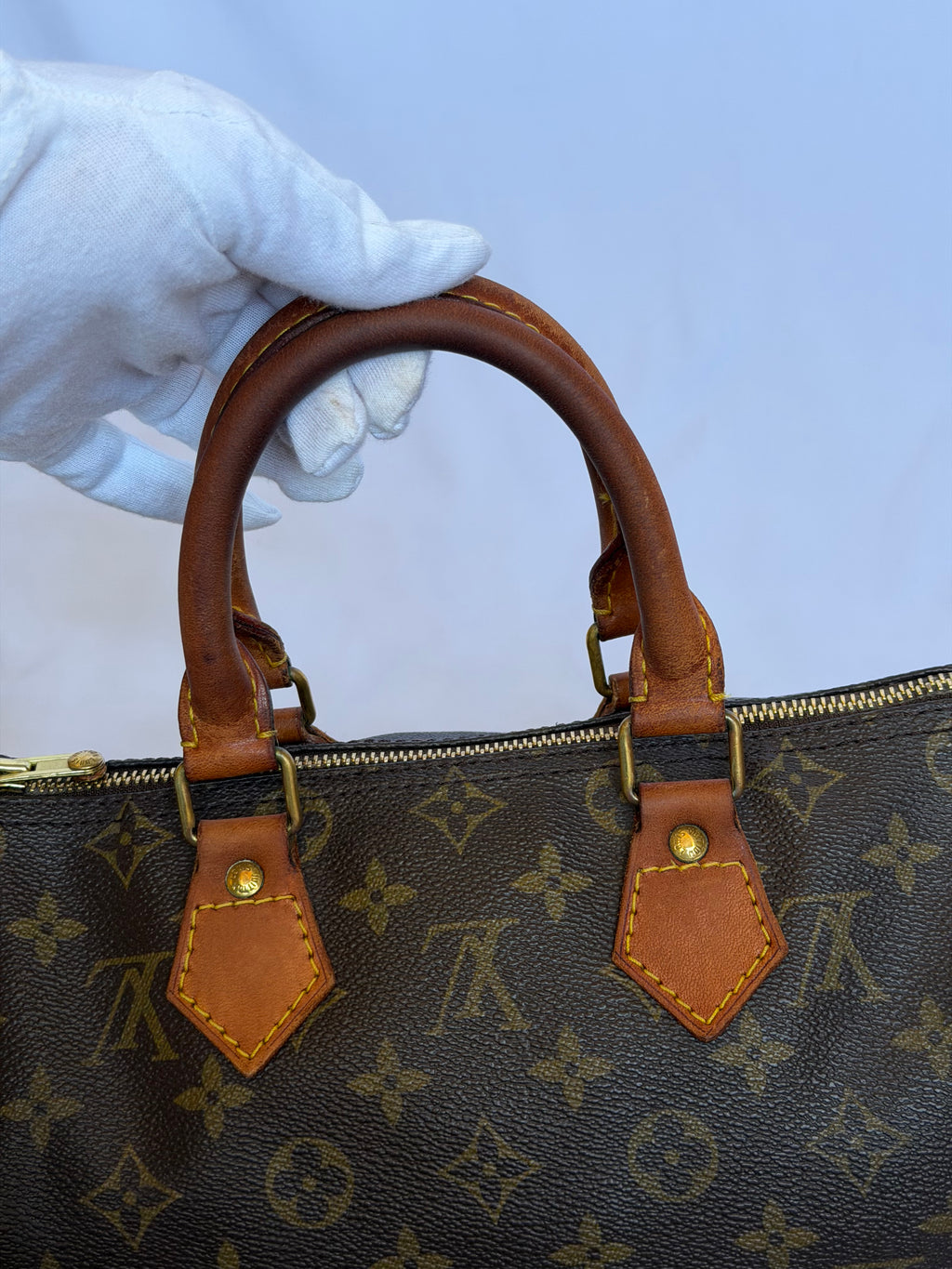 Louis Vuitton Speedy 25 in Monogram Canvas