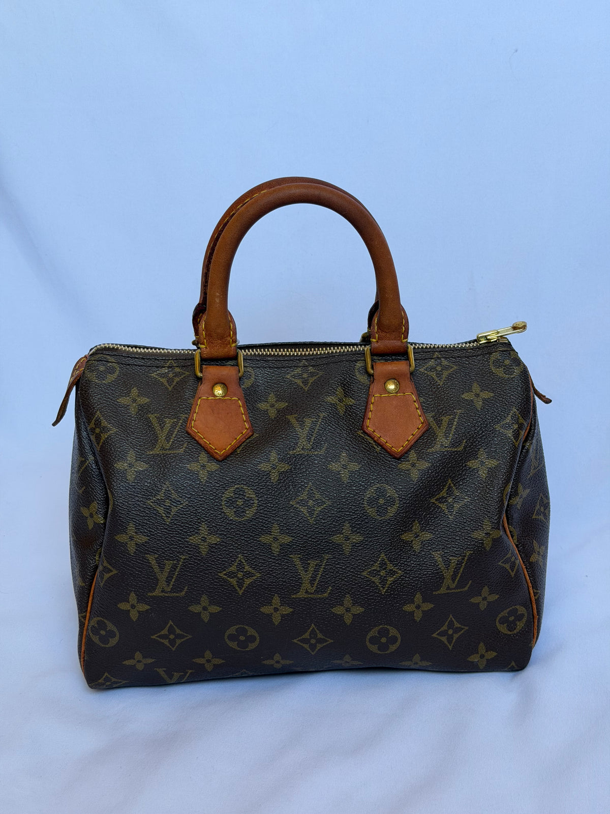 Louis Vuitton Speedy 25 in Monogram Canvas