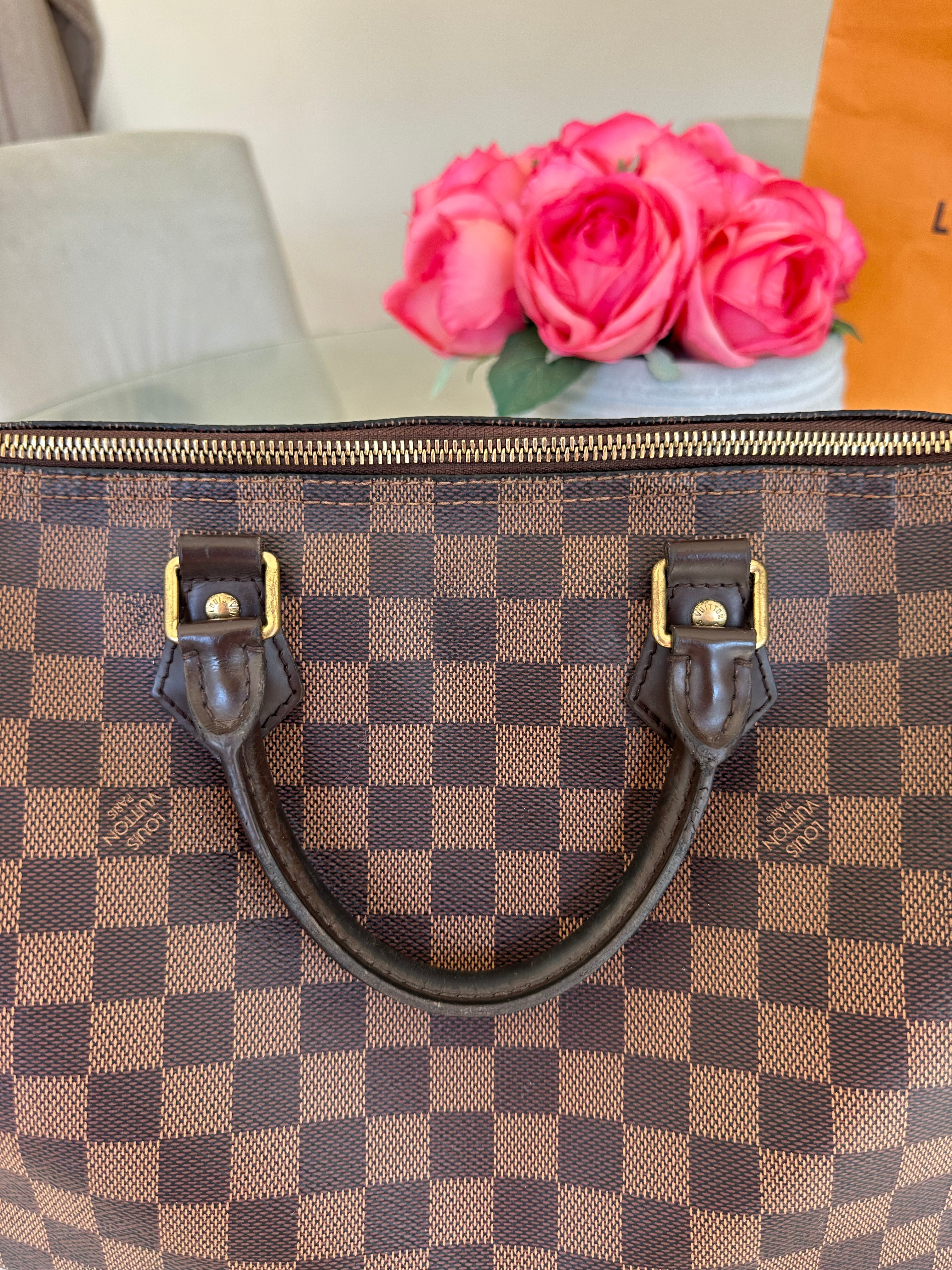 Louis Vuitton Speedy 30 in Damier Ebene