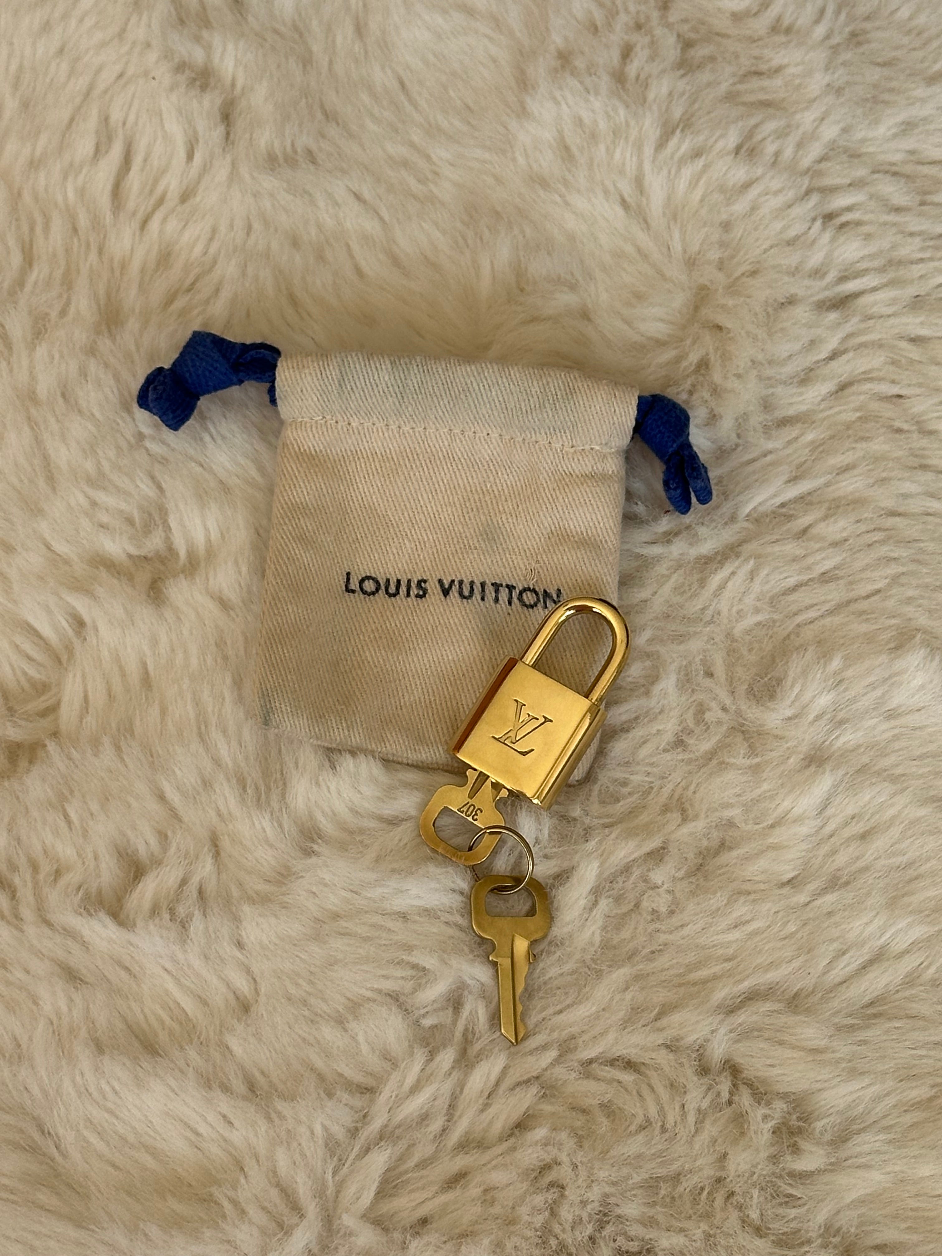 Louis Vuitton Speedy 30 in Damier Ebene