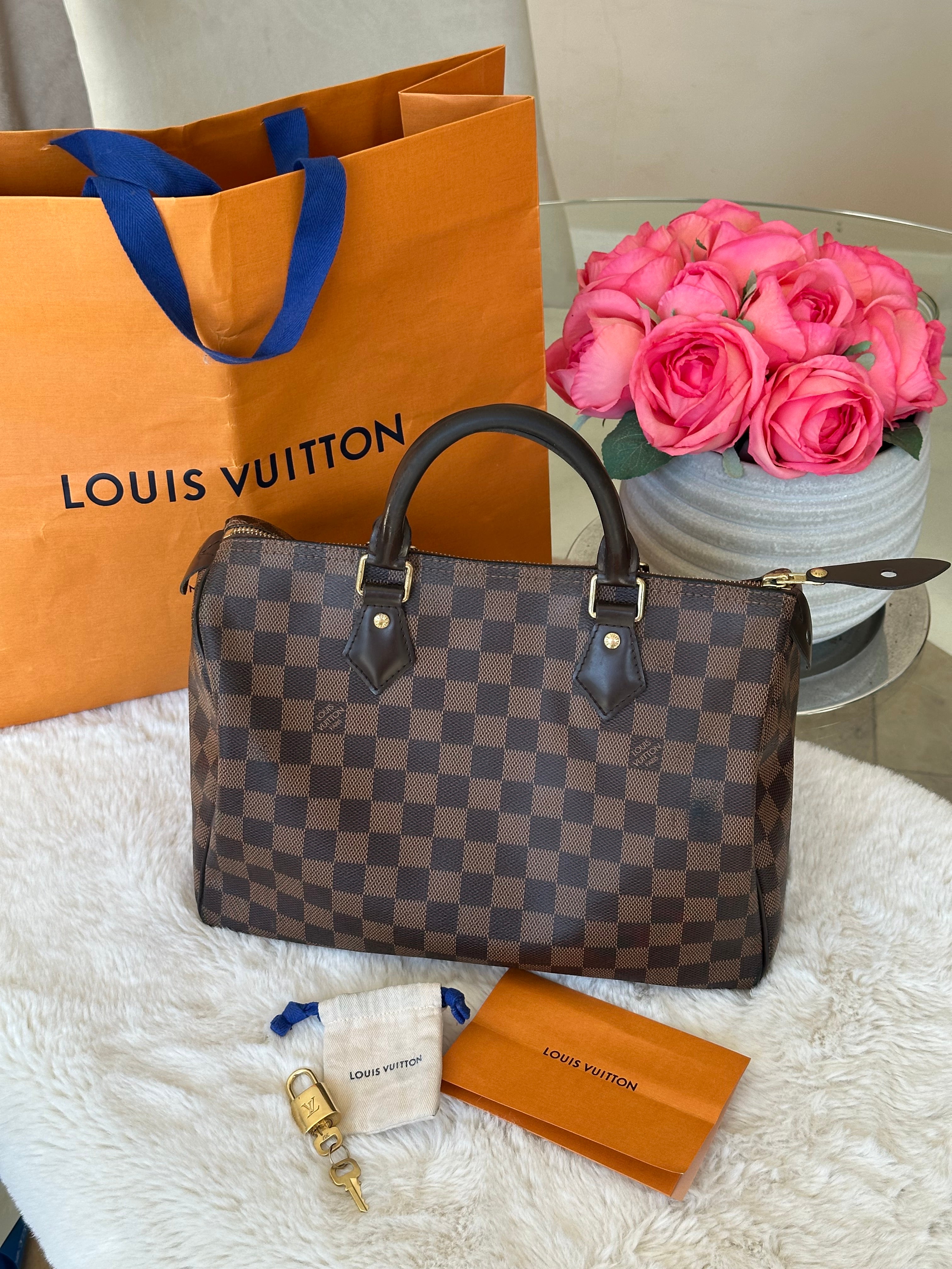 Louis Vuitton Speedy 30 in Damier Ebene