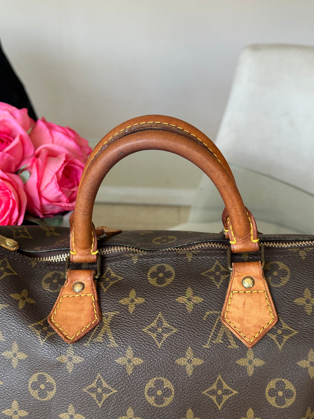 Louis Vuitton Speedy 30 in Monogram Canvas
