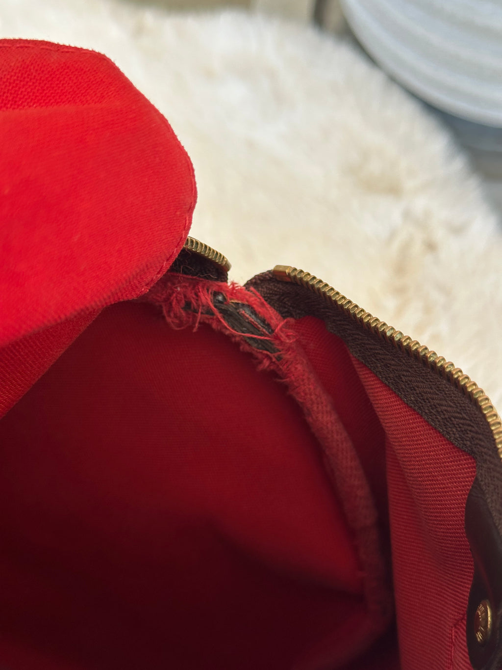 Louis Vuitton Speedy 30 in Damier Ebene