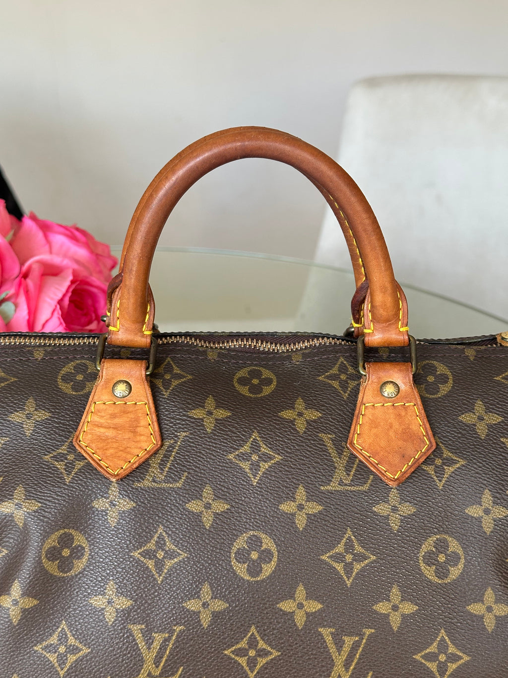 Louis Vuitton Speedy 30 in Monogram Canvas