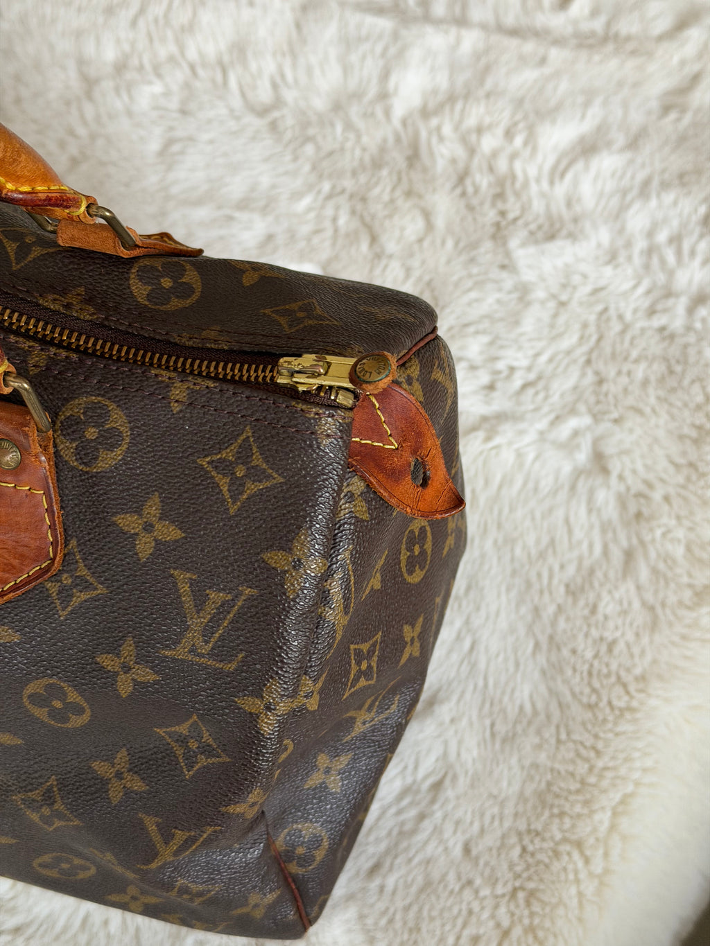 Louis Vuitton Speedy 30 in Monogram Canvas