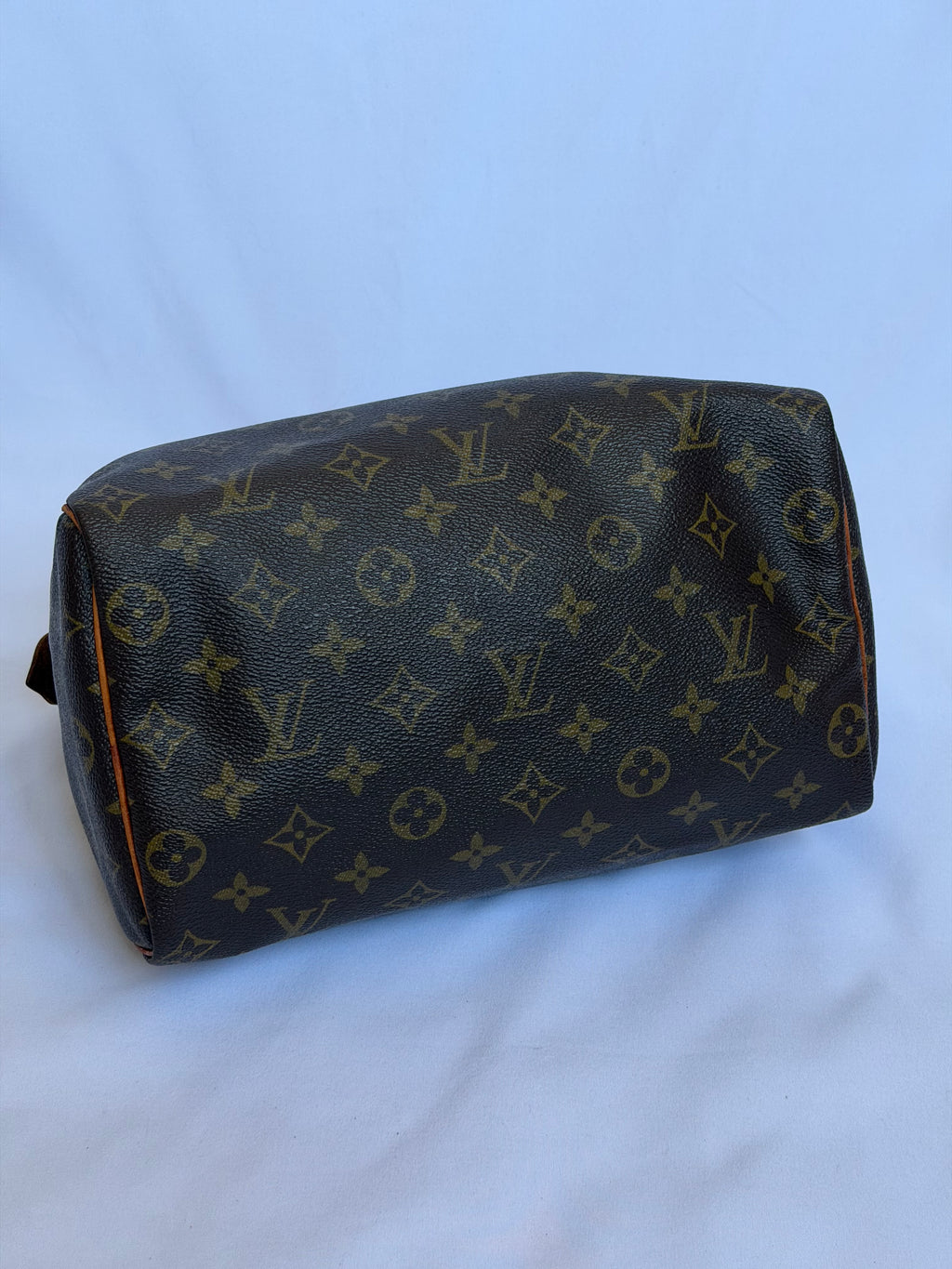 Louis Vuitton Speedy 25 in Monogram Canvas