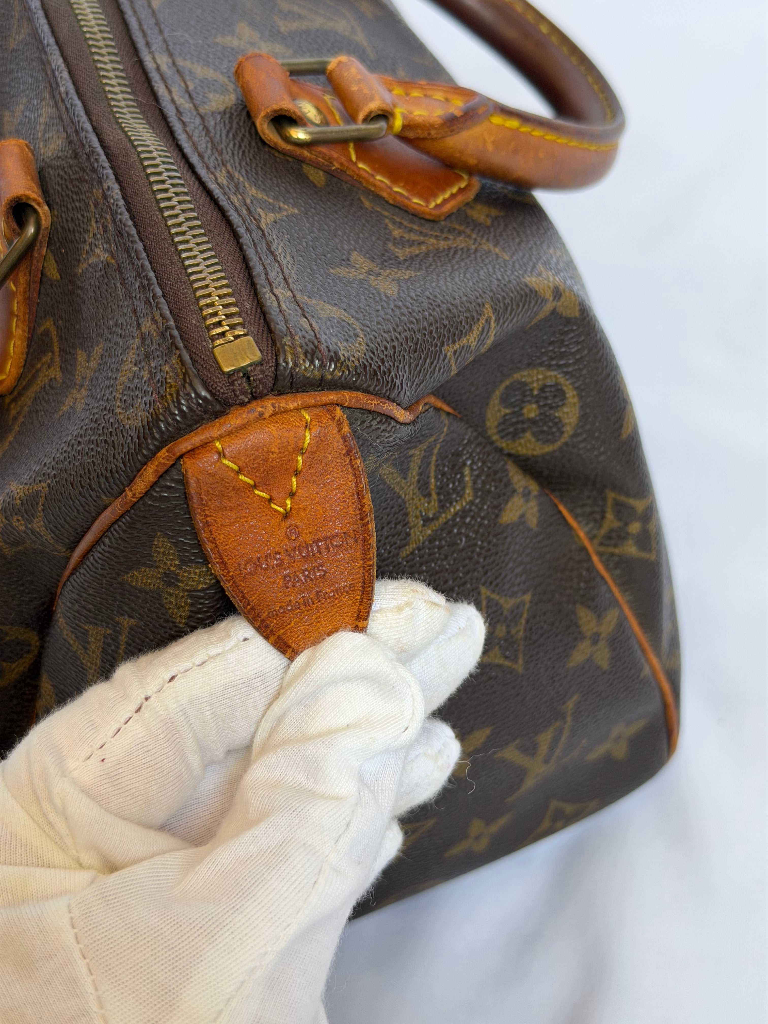 Louis Vuitton Speedy 25 in Monogram Canvas
