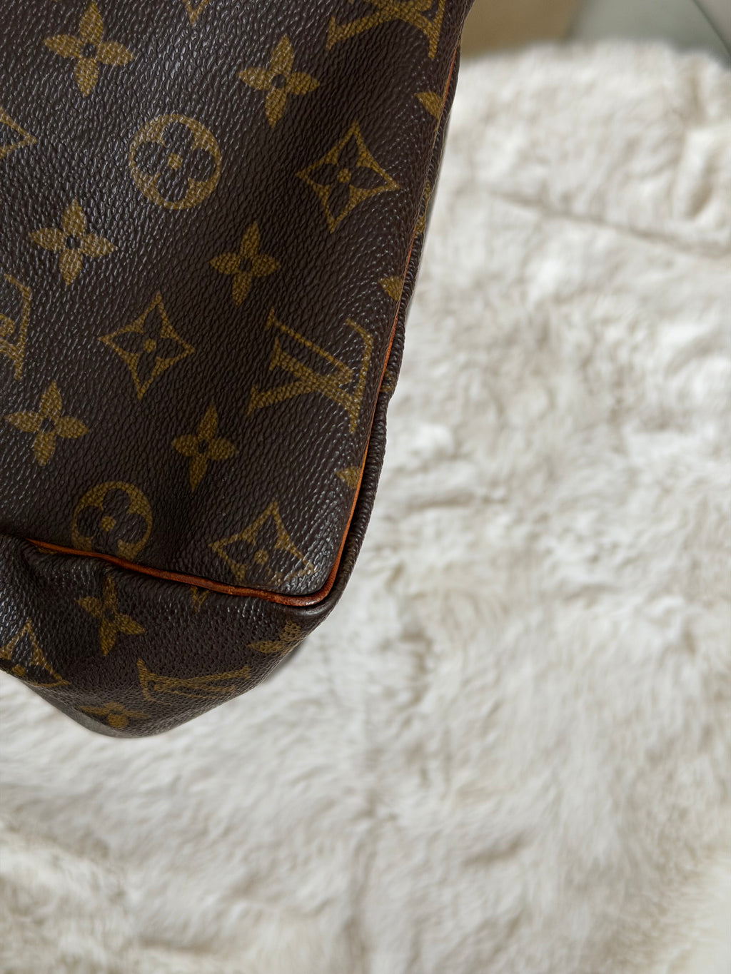 Louis Vuitton Speedy 30 in Monogram Canvas