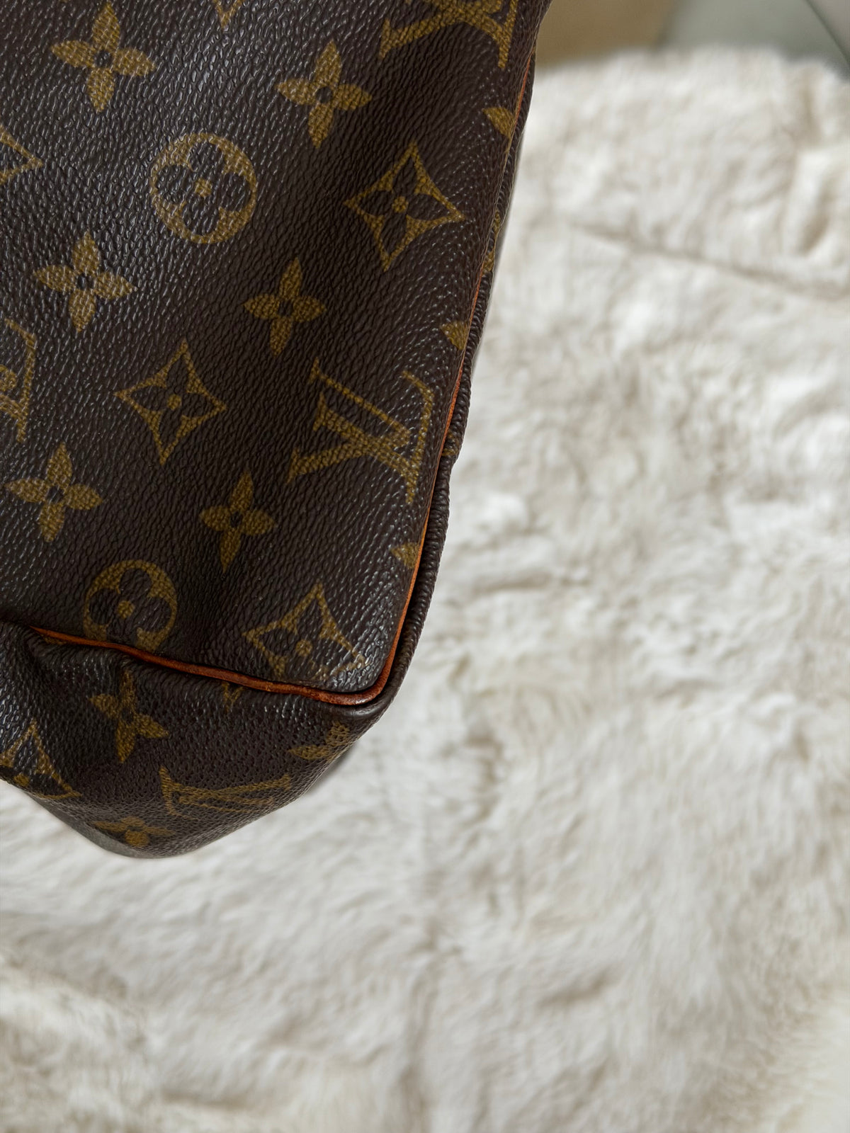 Louis Vuitton Speedy 30 in Monogram Canvas