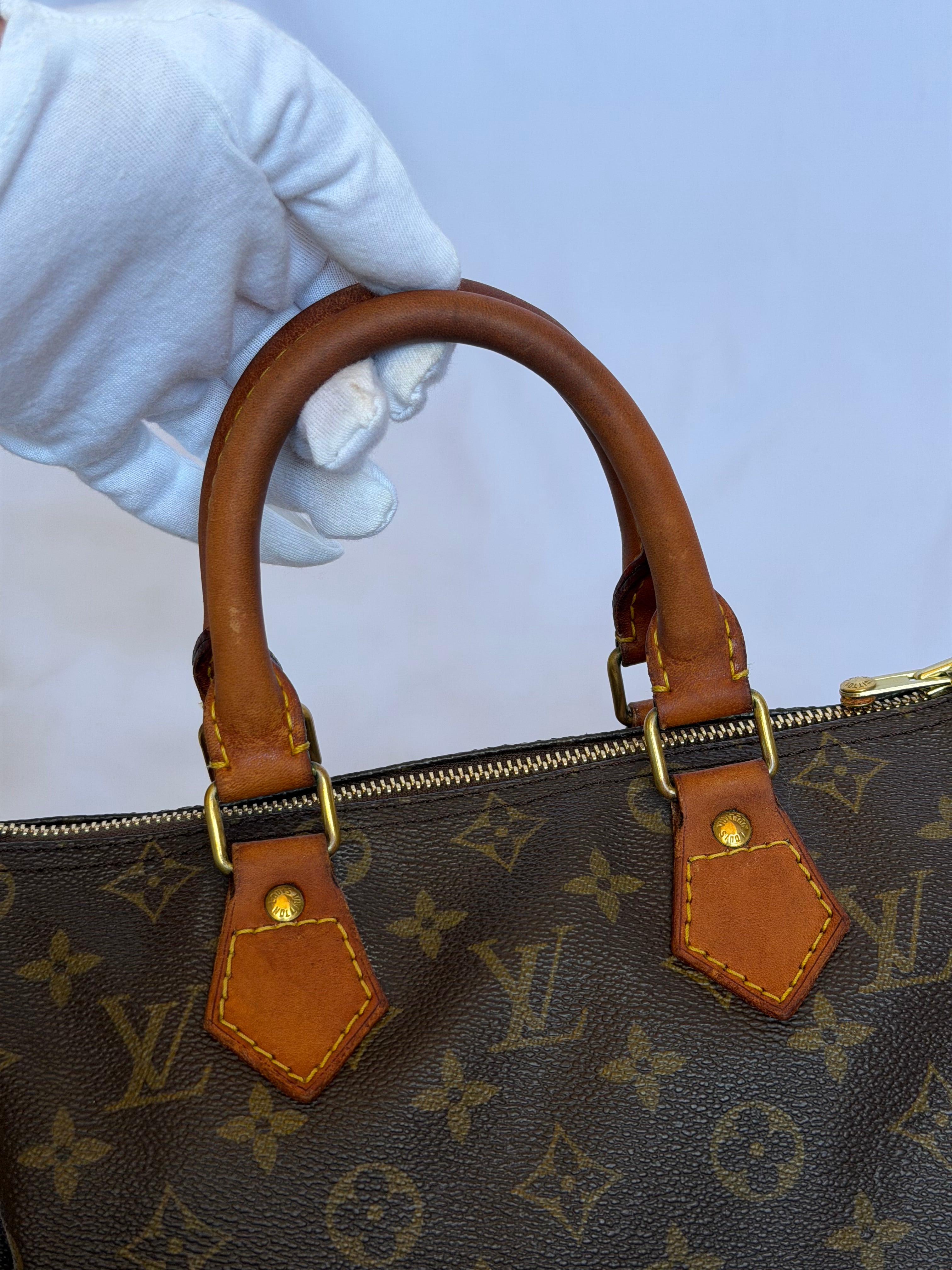 Louis Vuitton Speedy 25 in Monogram Canvas