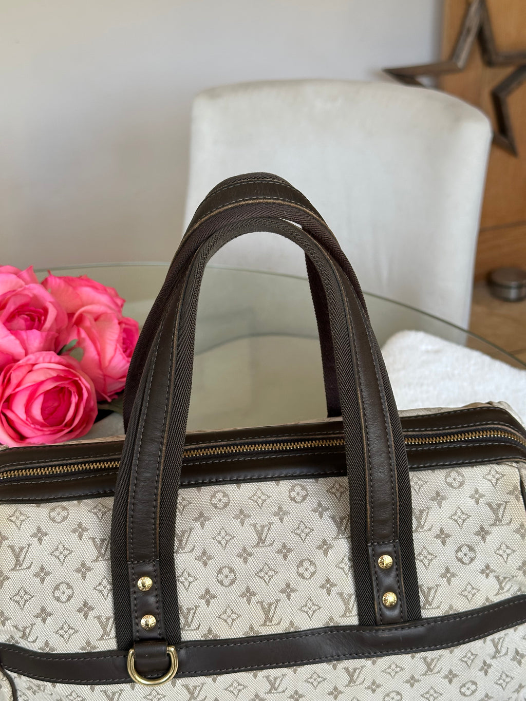 Louis Vuitton Josephine GM Handbag In Mini Lin Monogram
