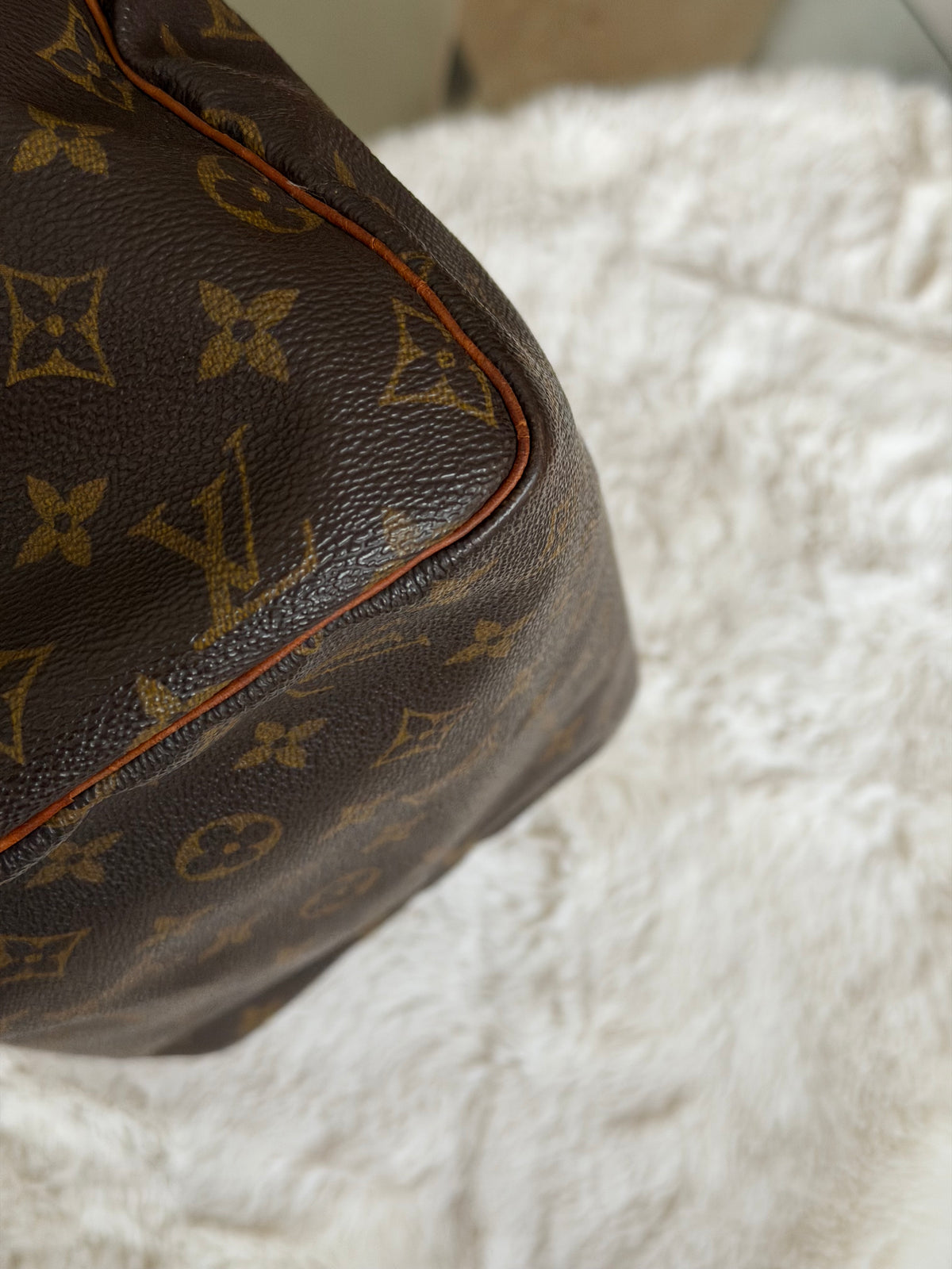 Louis Vuitton Speedy 30 in Monogram Canvas