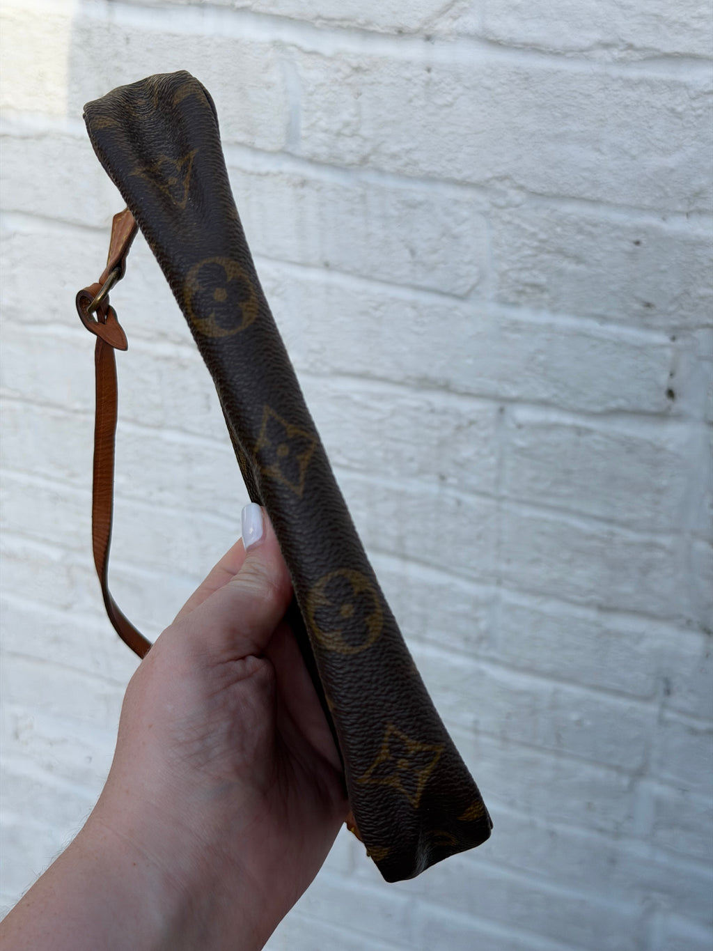 Louis Vuitton Pochette Accessories in Monogram Canvas