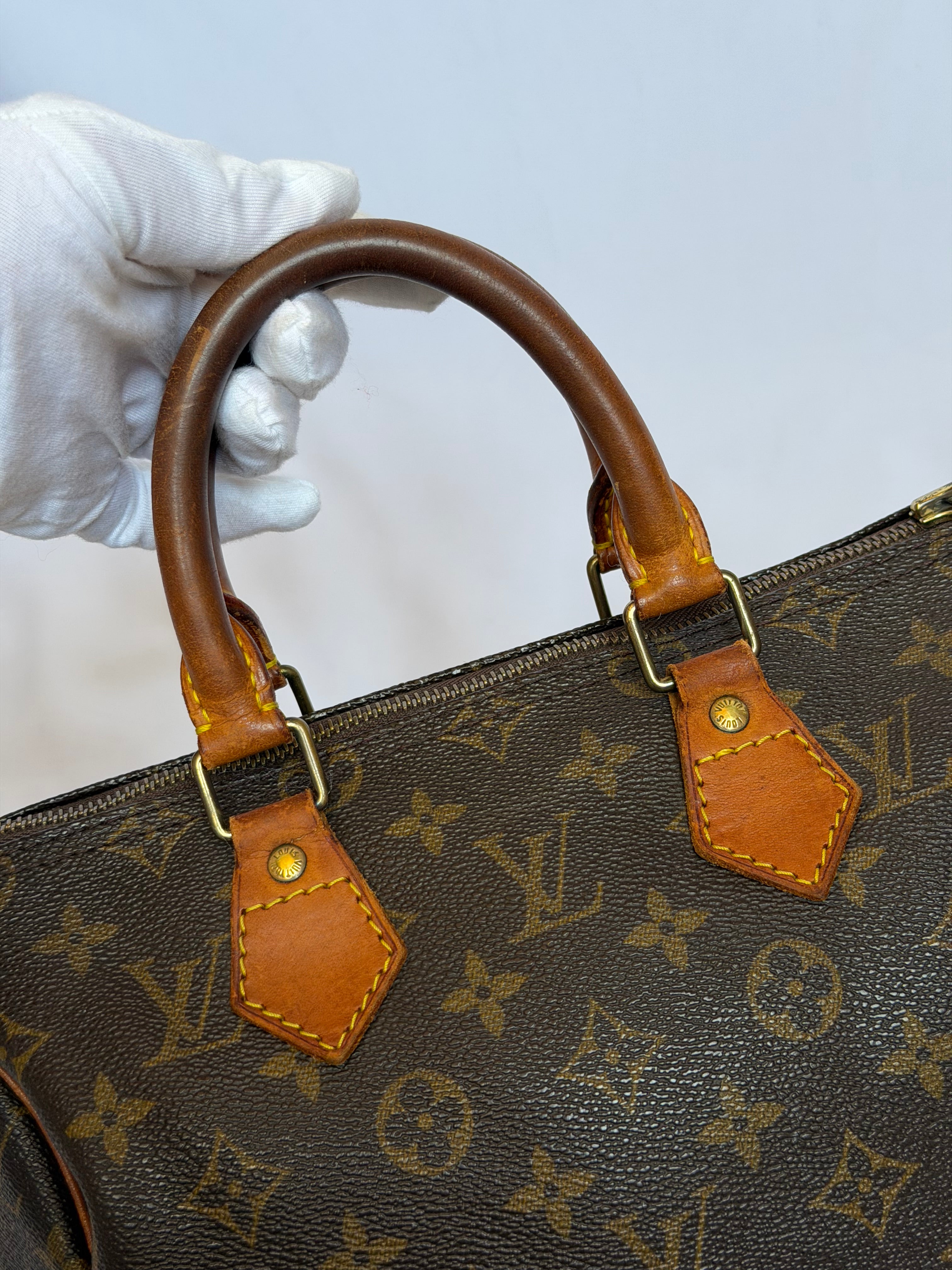Louis Vuitton Speedy 25 in Monogram Canvas