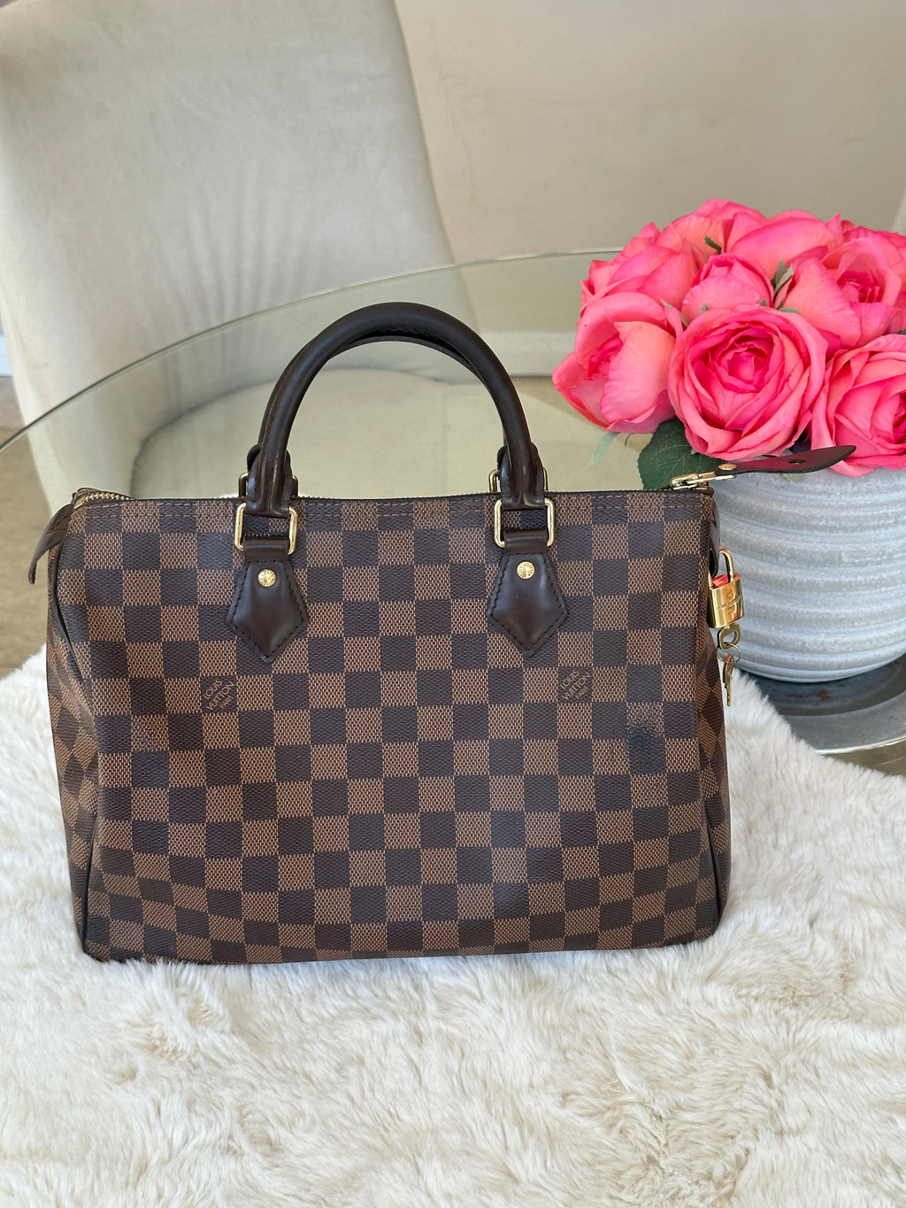Louis Vuitton Speedy 30 in Damier Ebene