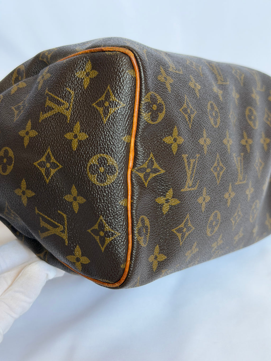 Louis Vuitton Speedy 25 in Monogram Canvas