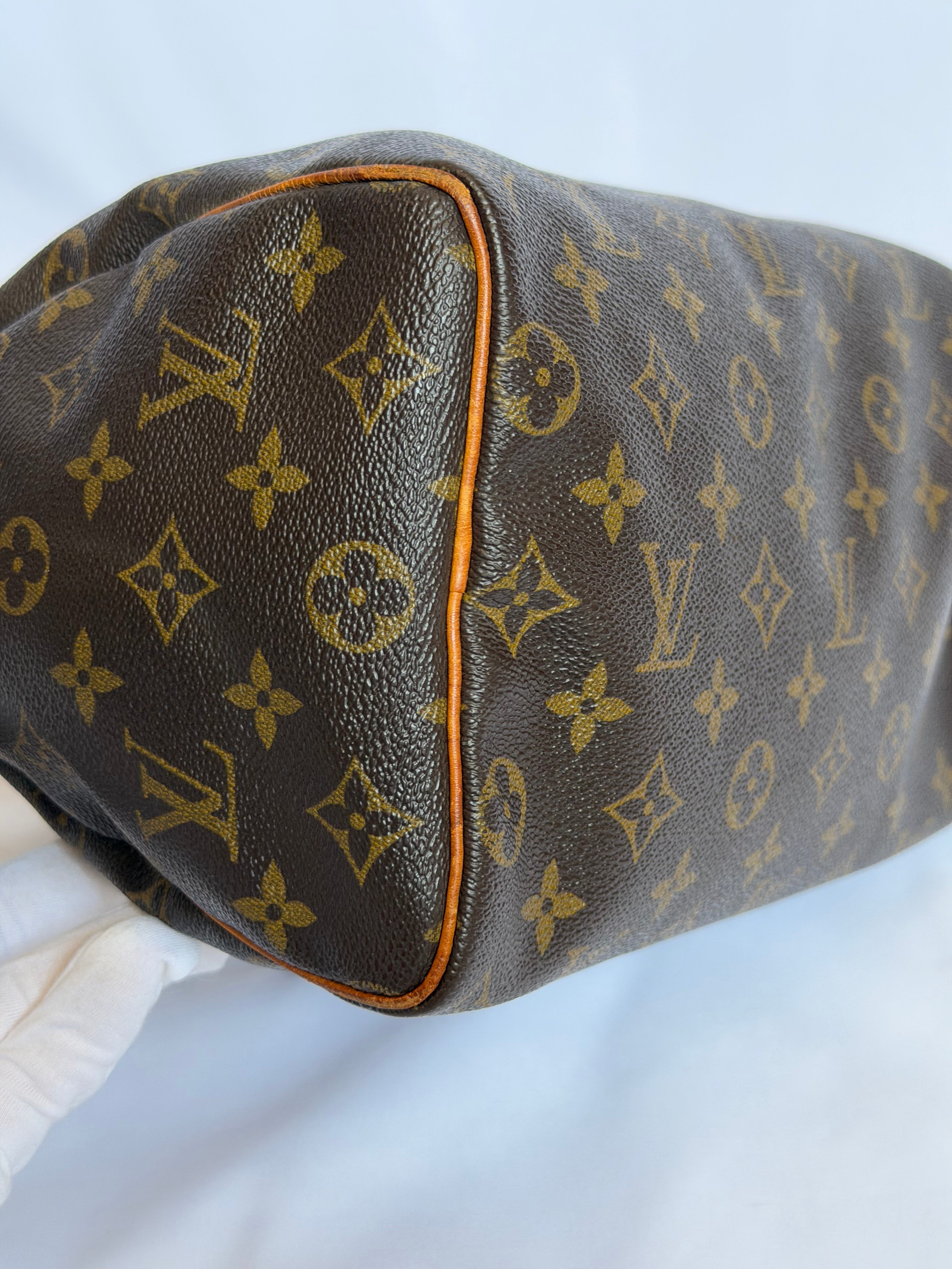 Louis Vuitton Speedy 25 in Monogram Canvas
