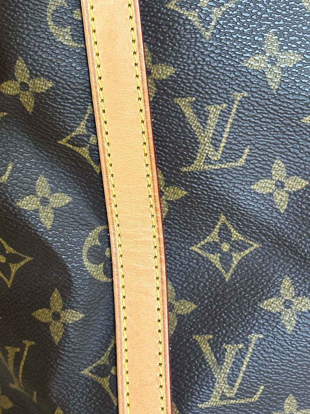 Louis Vuitton Bucket GM Monogram Canvas