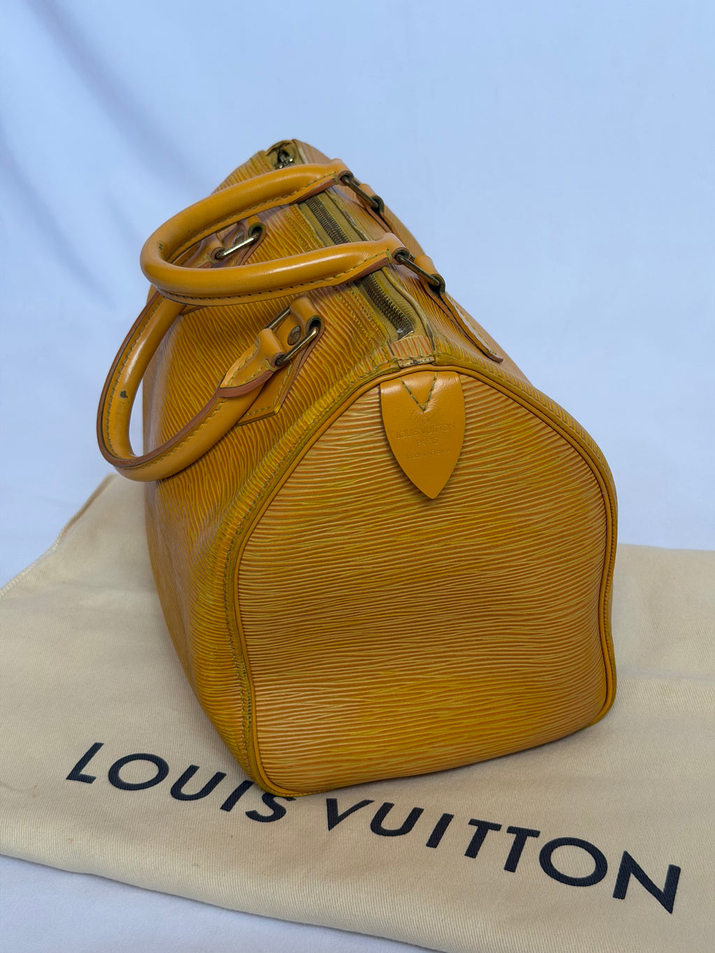 Louis Vuitton Speedy in Yellow Epi Leather