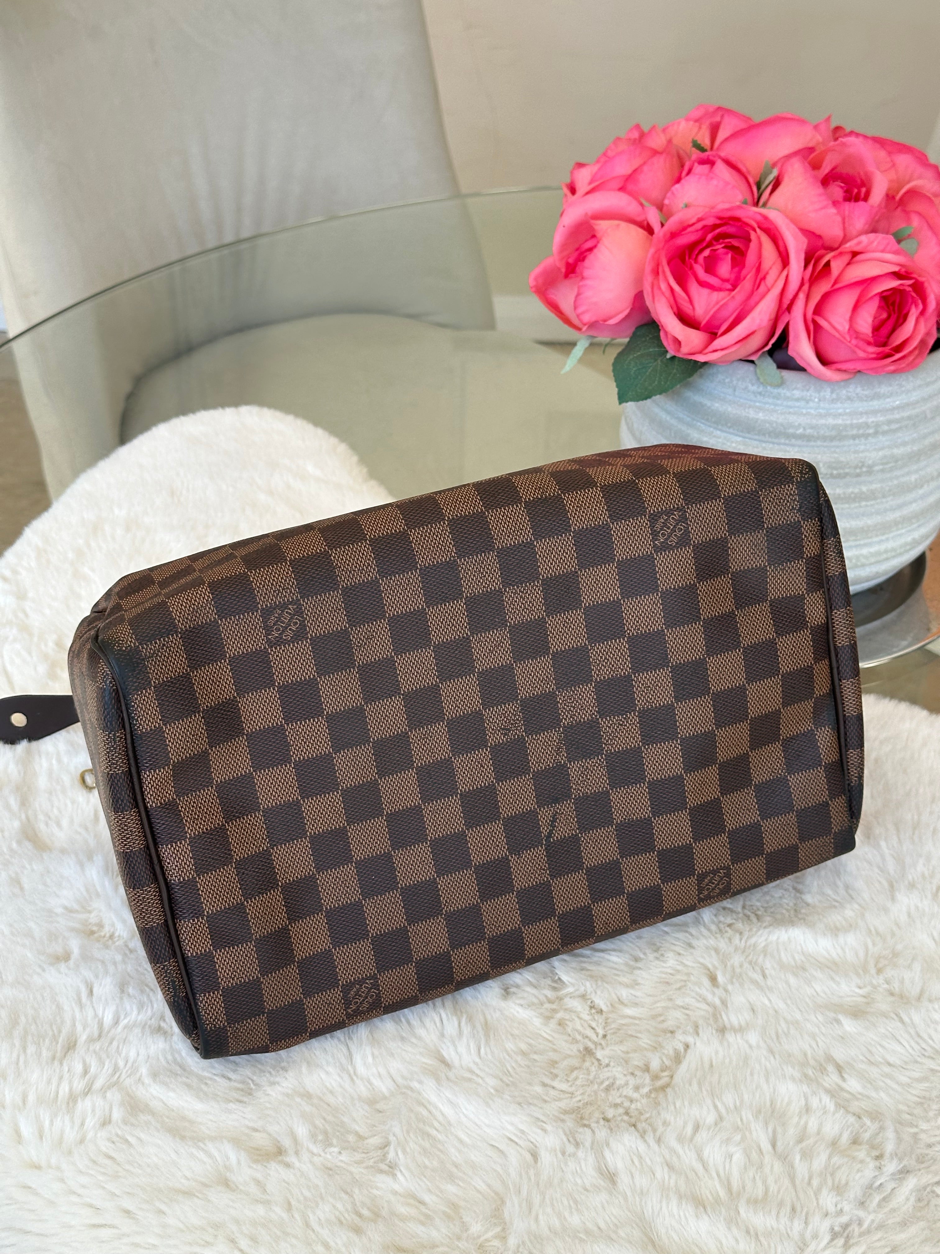 Louis Vuitton Speedy 30 in Damier Ebene