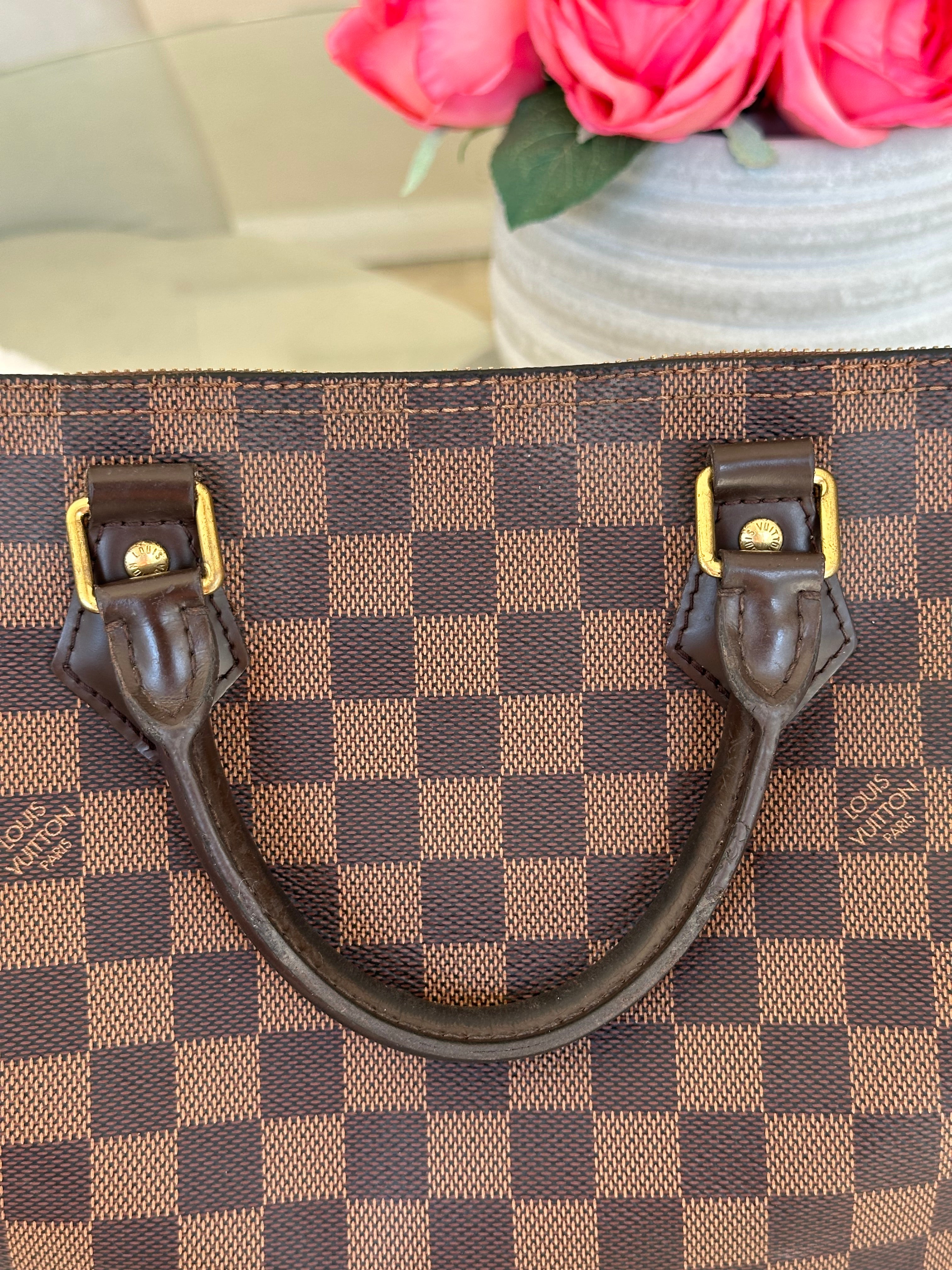 Louis Vuitton Speedy 30 in Damier Ebene