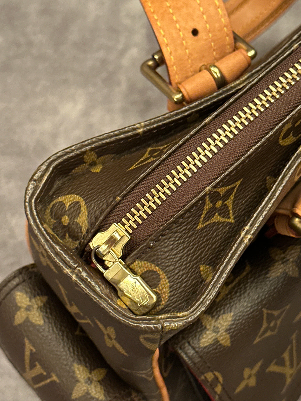 Louis Vuitton Multipli Cite Monogram Canvas