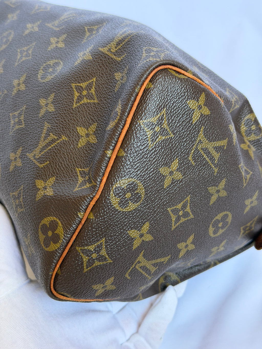 Louis Vuitton Speedy 25 in Monogram Canvas