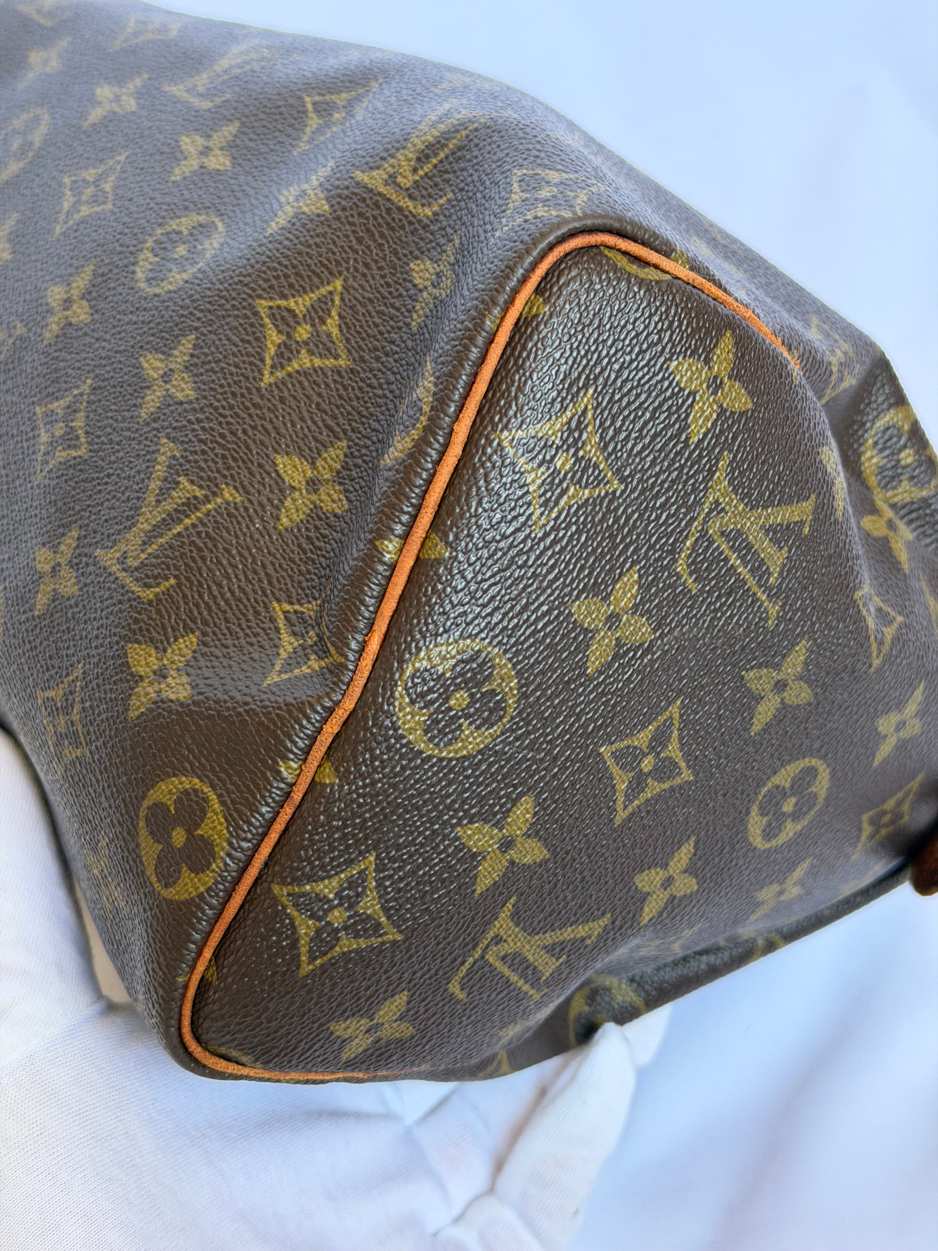 Louis Vuitton Speedy 25 in Monogram Canvas