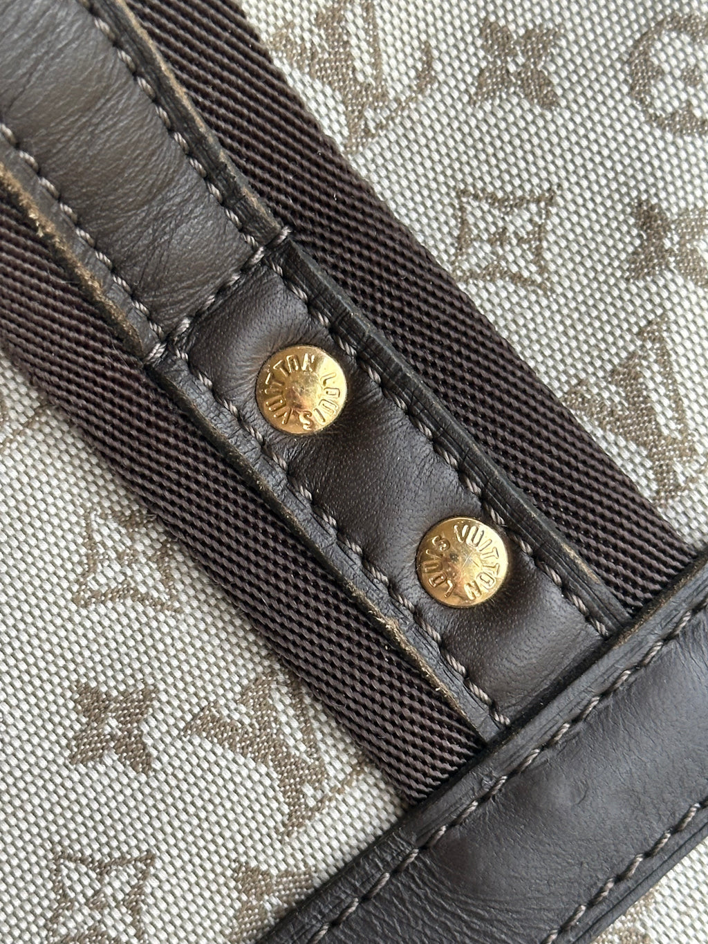 Louis Vuitton Josephine GM Handbag In Mini Lin Monogram