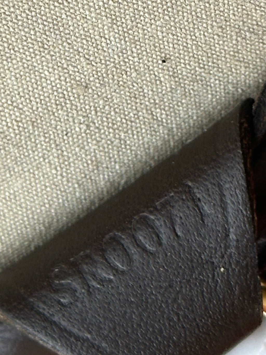 Louis Vuitton Josephine GM Handbag In Mini Lin Monogram
