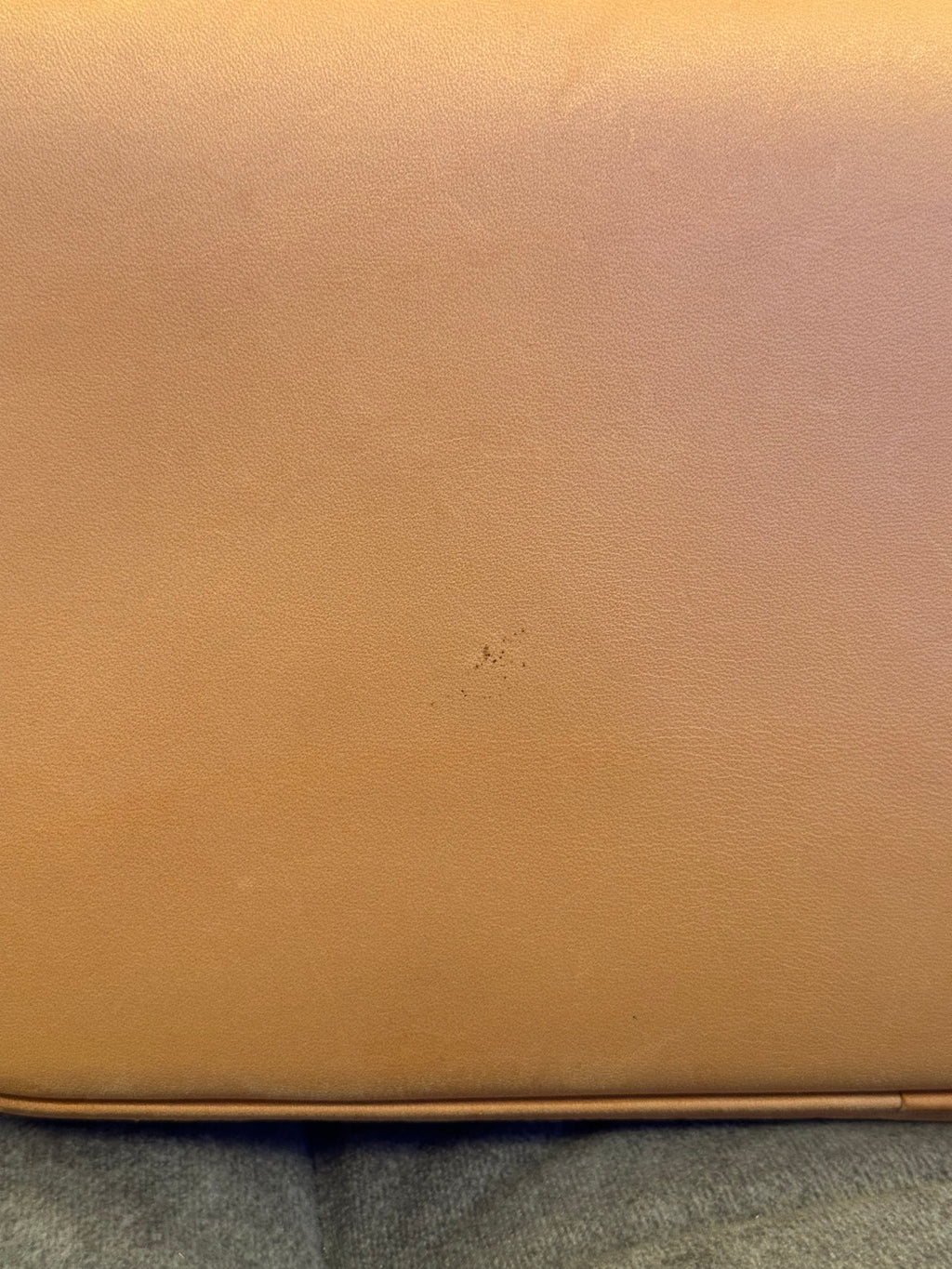 Louis Vuitton Alma PM Monogram Canvas