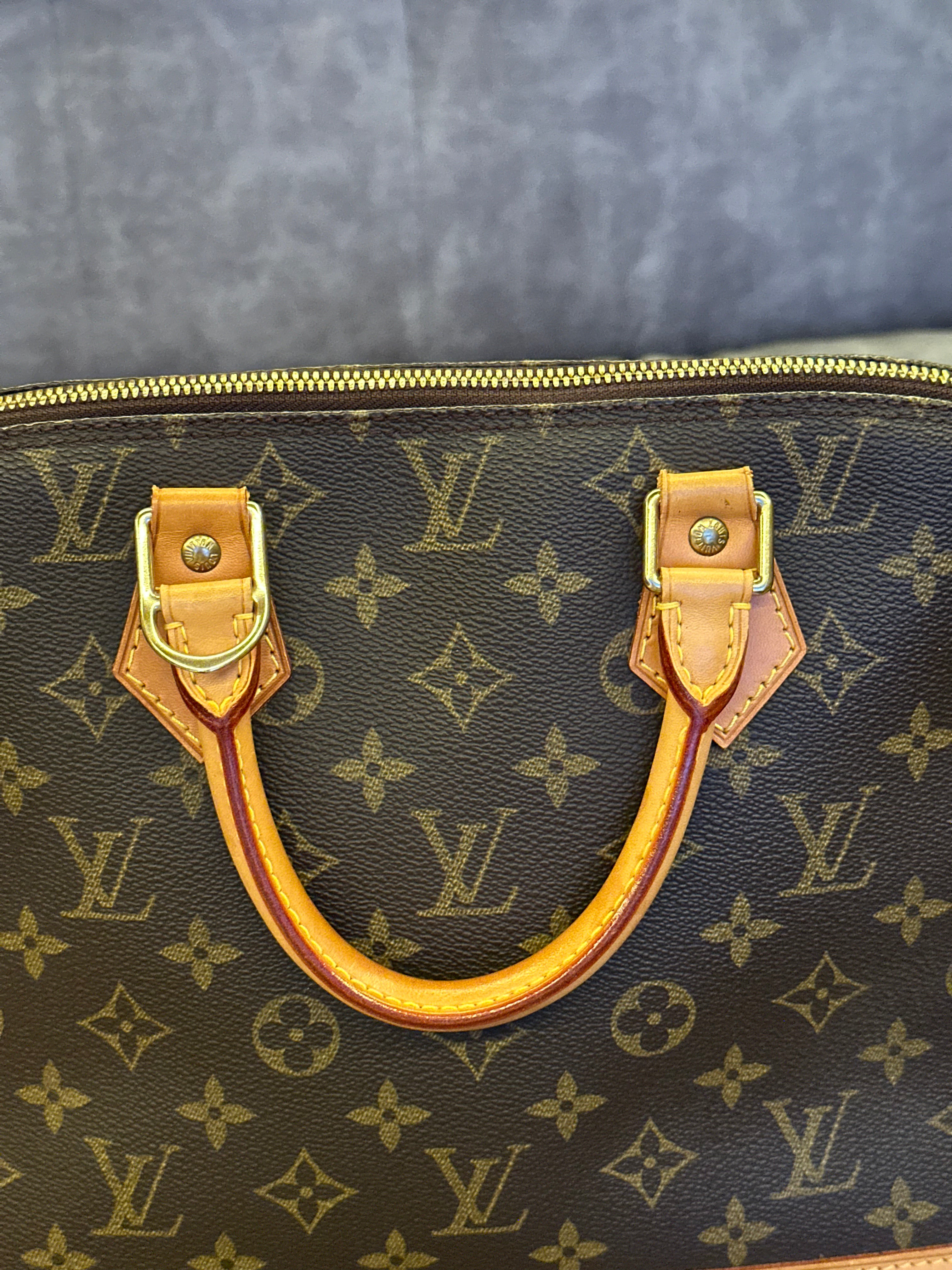 Louis Vuitton Alma PM Monogram Canvas