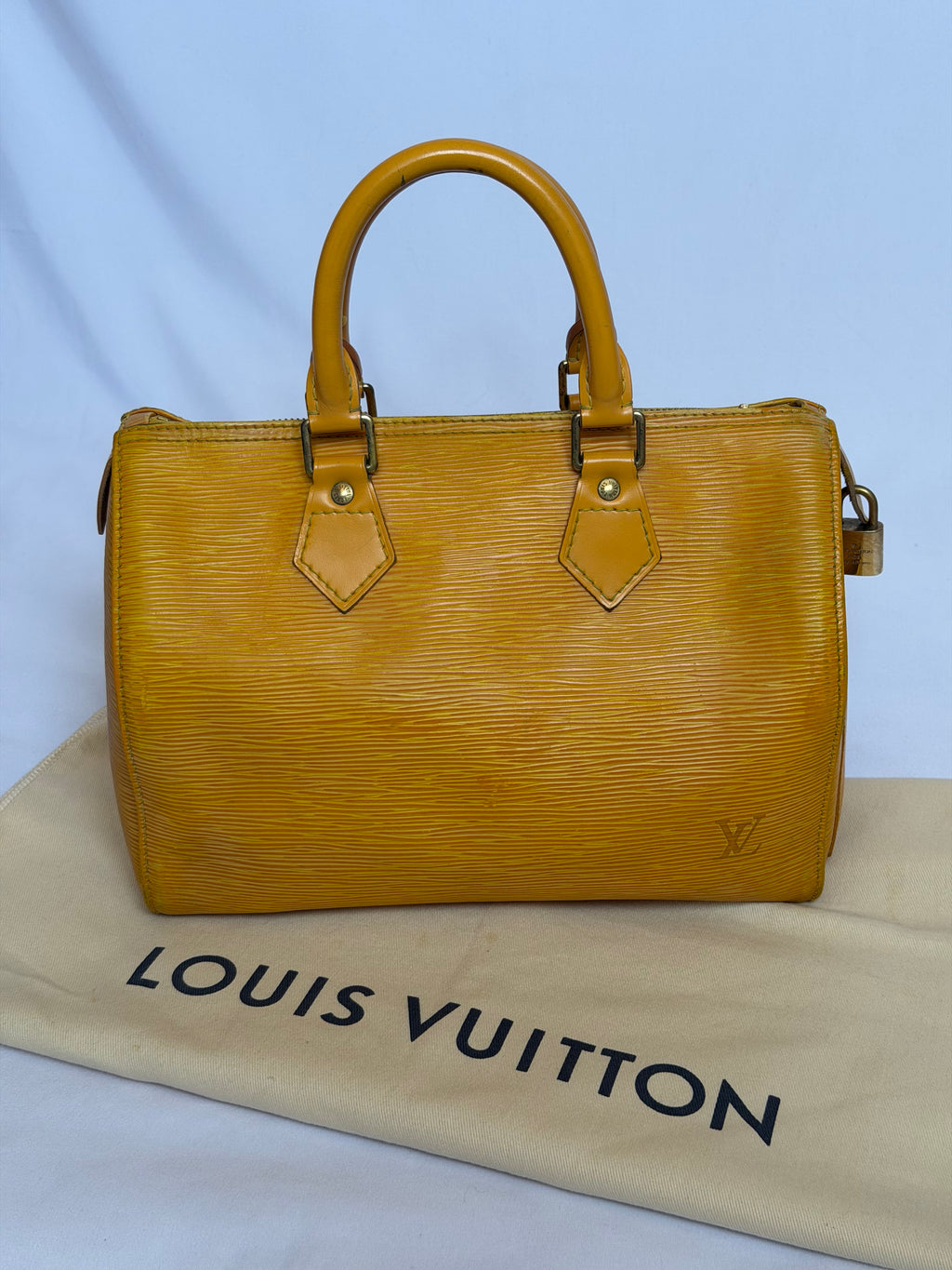 Louis Vuitton Speedy in Yellow Epi Leather