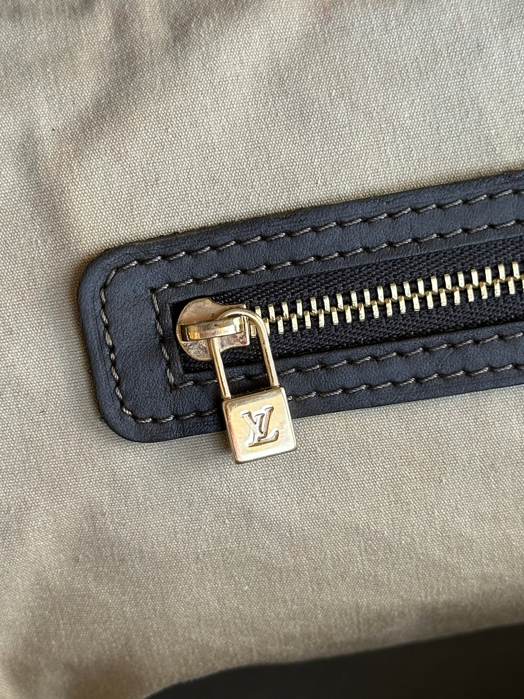 Louis Vuitton Josephine GM Handbag In Mini Lin Monogram