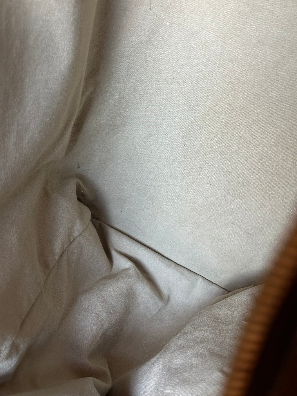 Louis Vuitton Josephine GM Handbag In Mini Lin Monogram