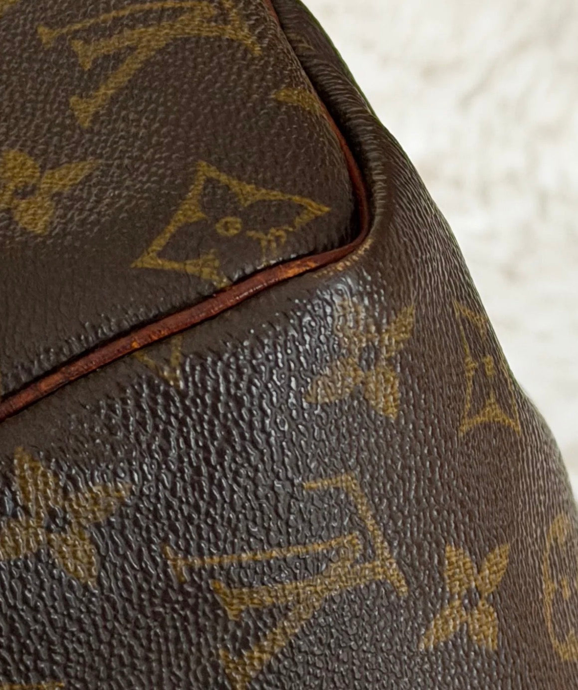 Louis Vuitton Speedy 30 in Monogram Canvas