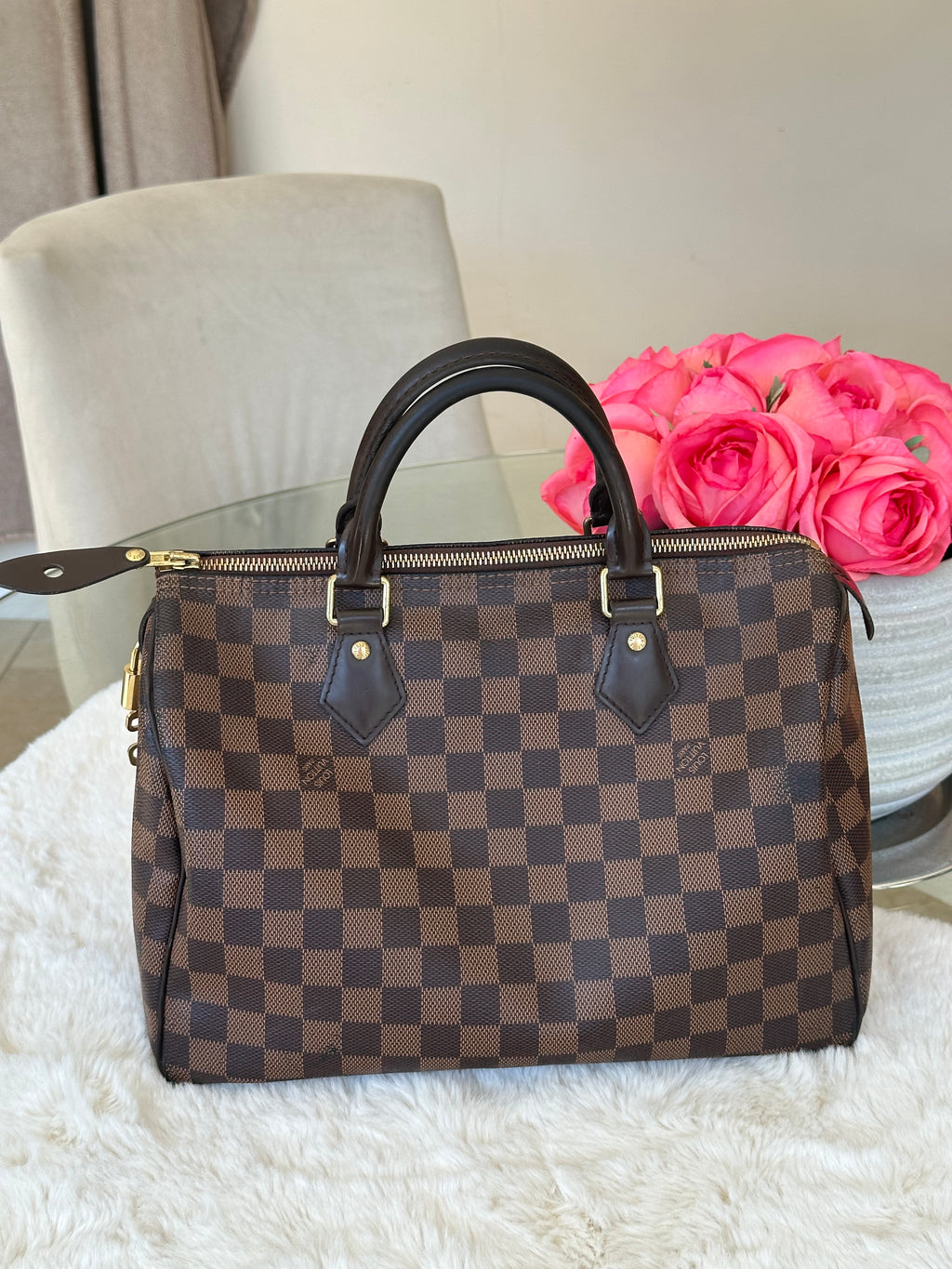 Louis Vuitton Speedy 30 in Damier Ebene