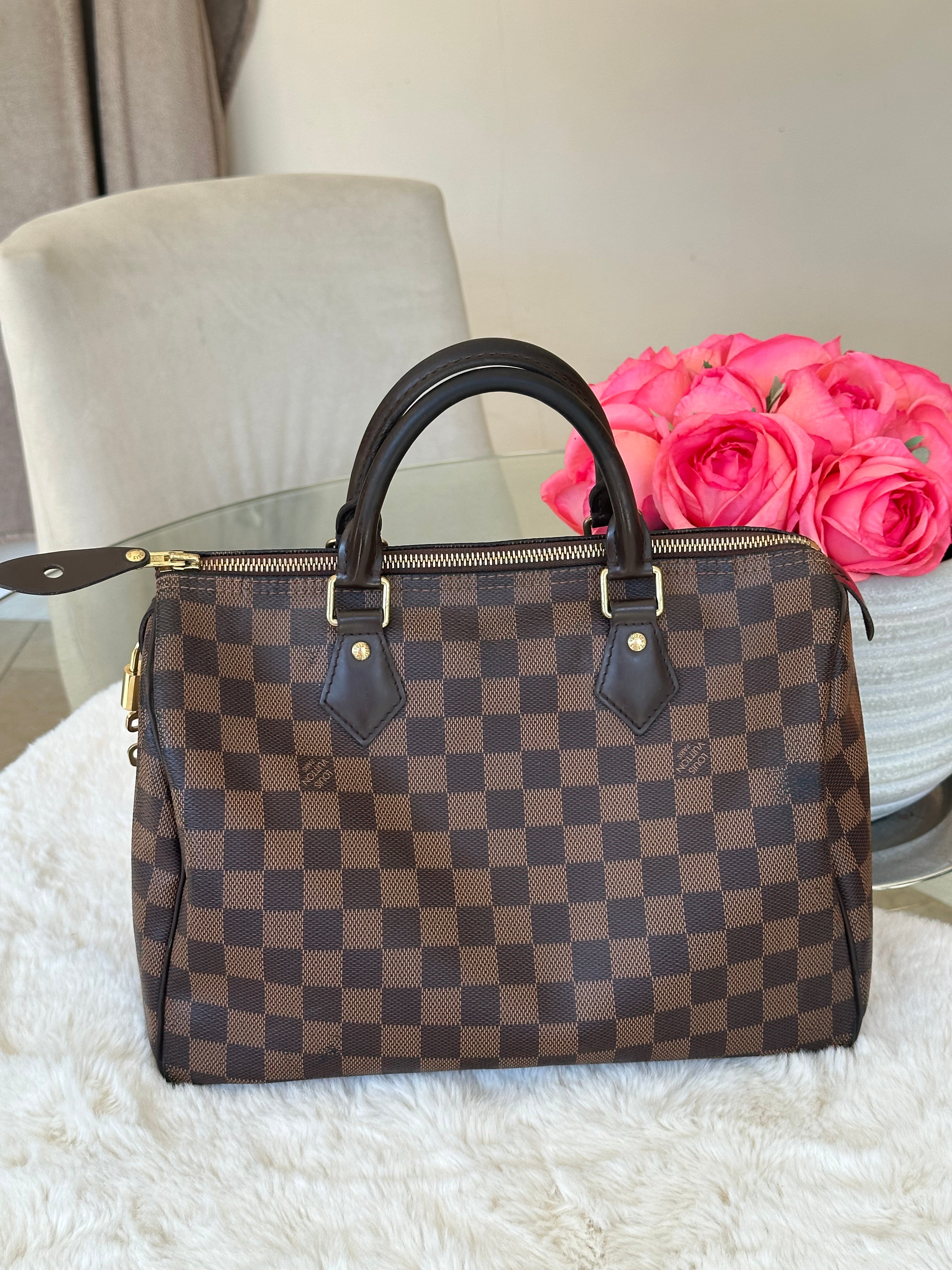 Louis Vuitton Speedy 30 in Damier Ebene